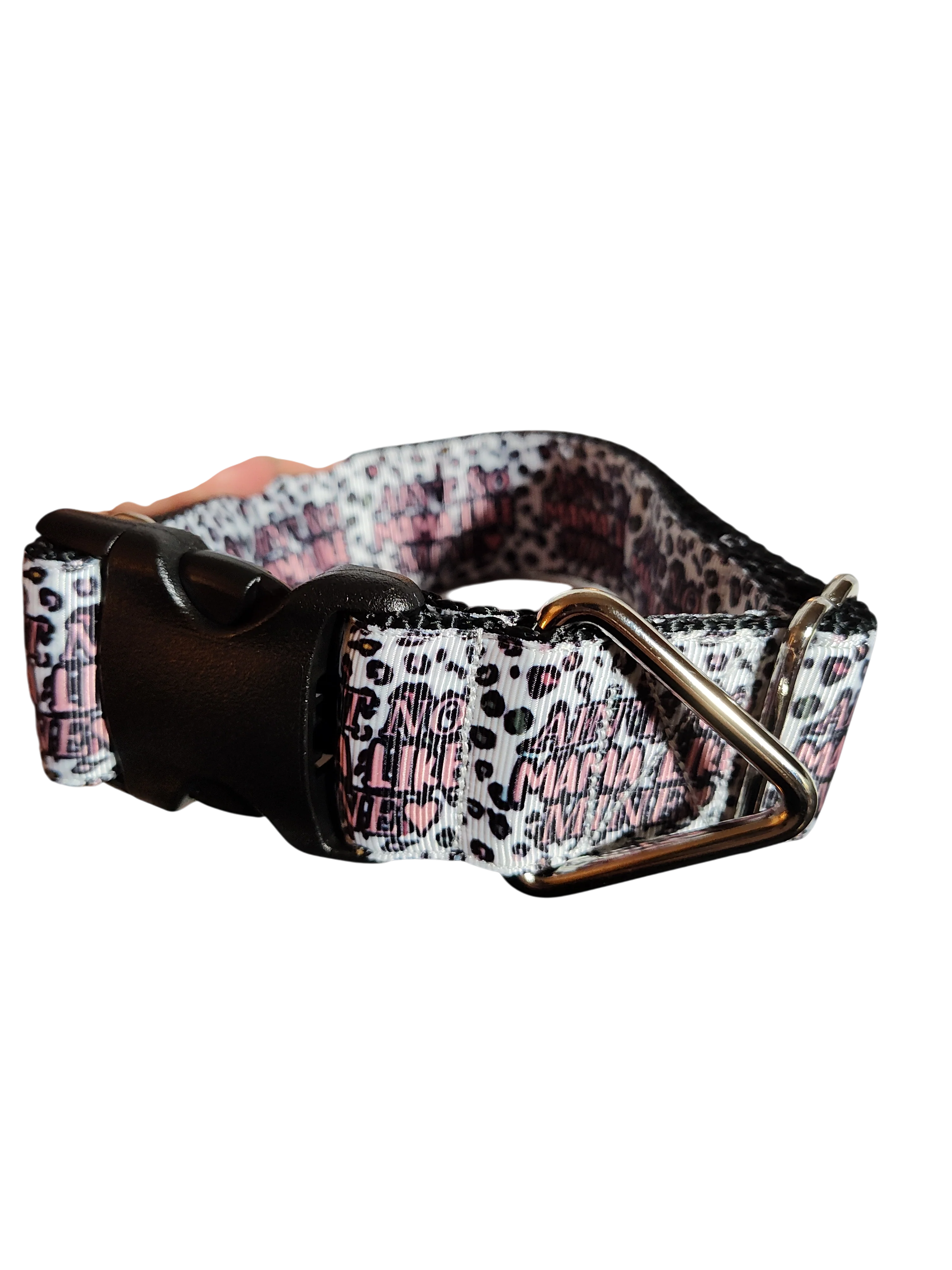 1.5" Wide Ain't No Mama Like Mine Nylon Dog Collar - Image 2