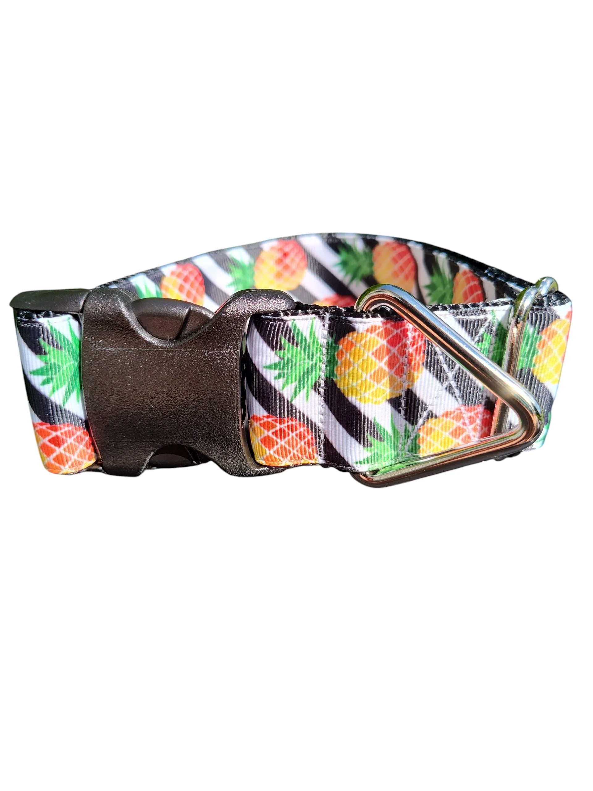 1.5" Wide Pineapple Stripes Nylon Dog Collar - Image 2
