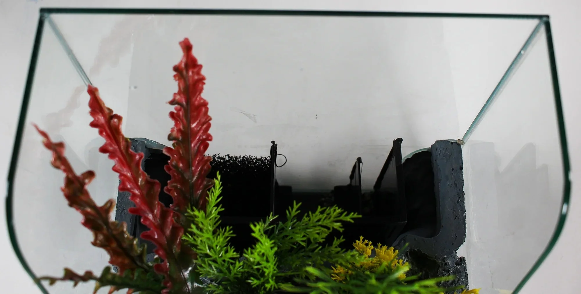 1.85 Gallons Glass Aquarium for Live Plants and Fish - Image 5