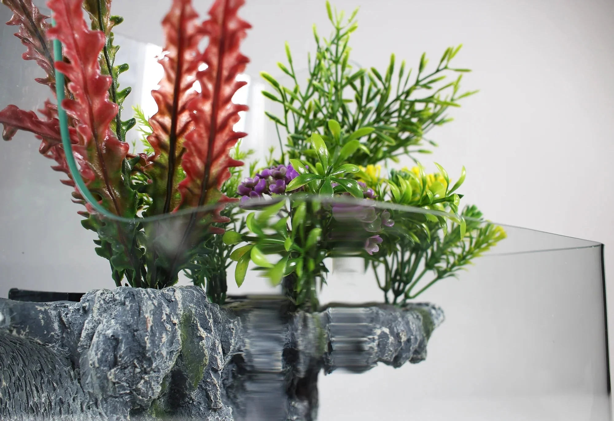 1.85 Gallons Glass Aquarium for Live Plants and Fish - Image 6