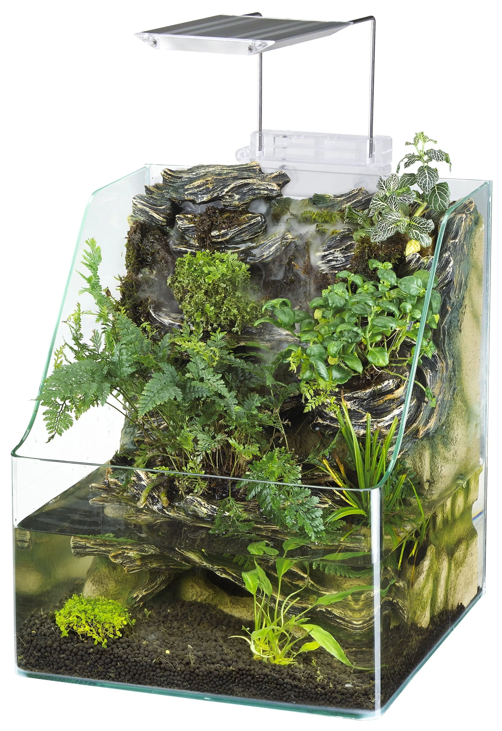1.85 Gallons Glass Aquarium for Live Plants and Fish - Image 7