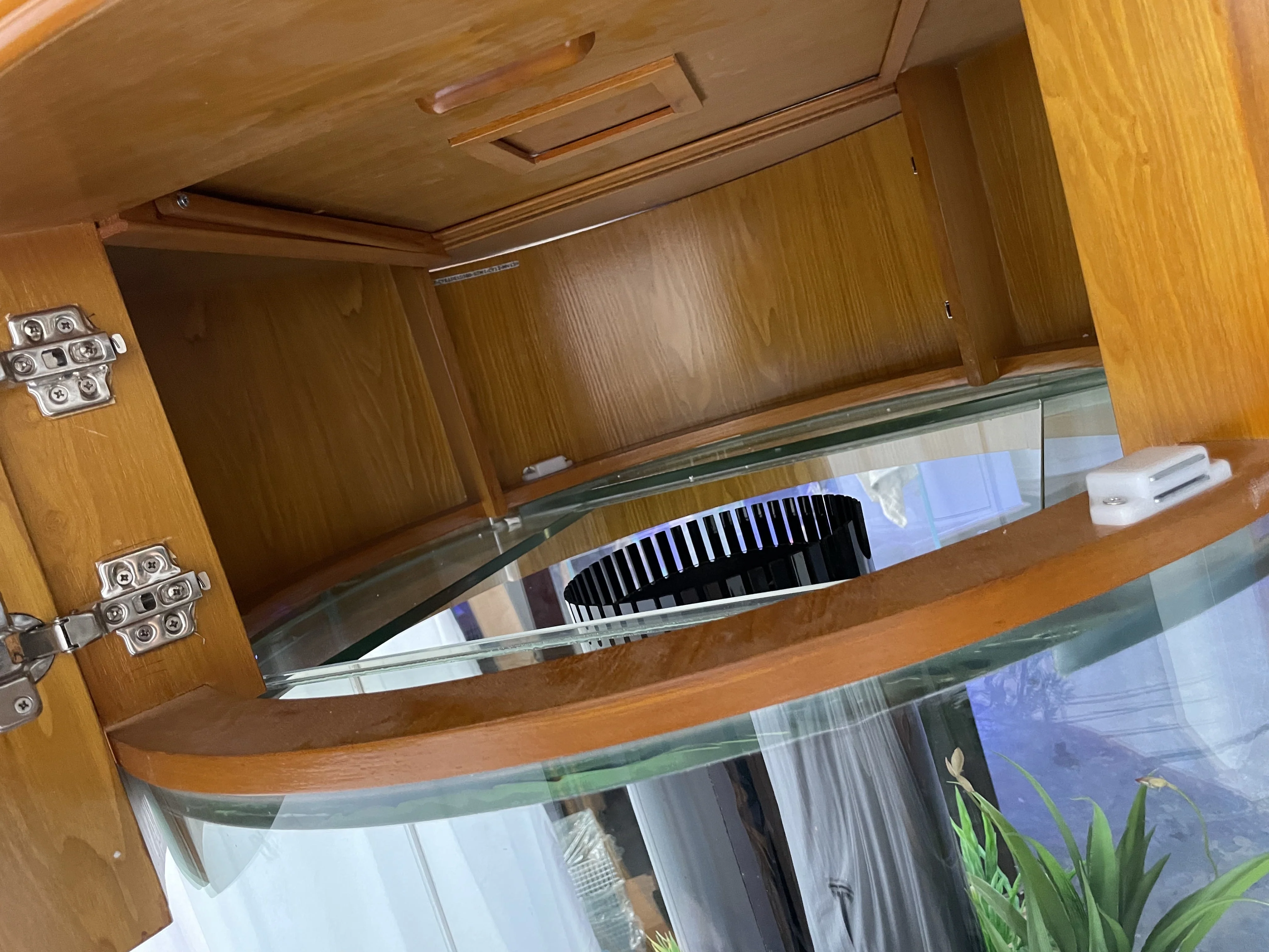 100 Gallon GLASS Cylinder Round Aquarium Reef Ready with Premium Cherry Wood Furniture - Image 4