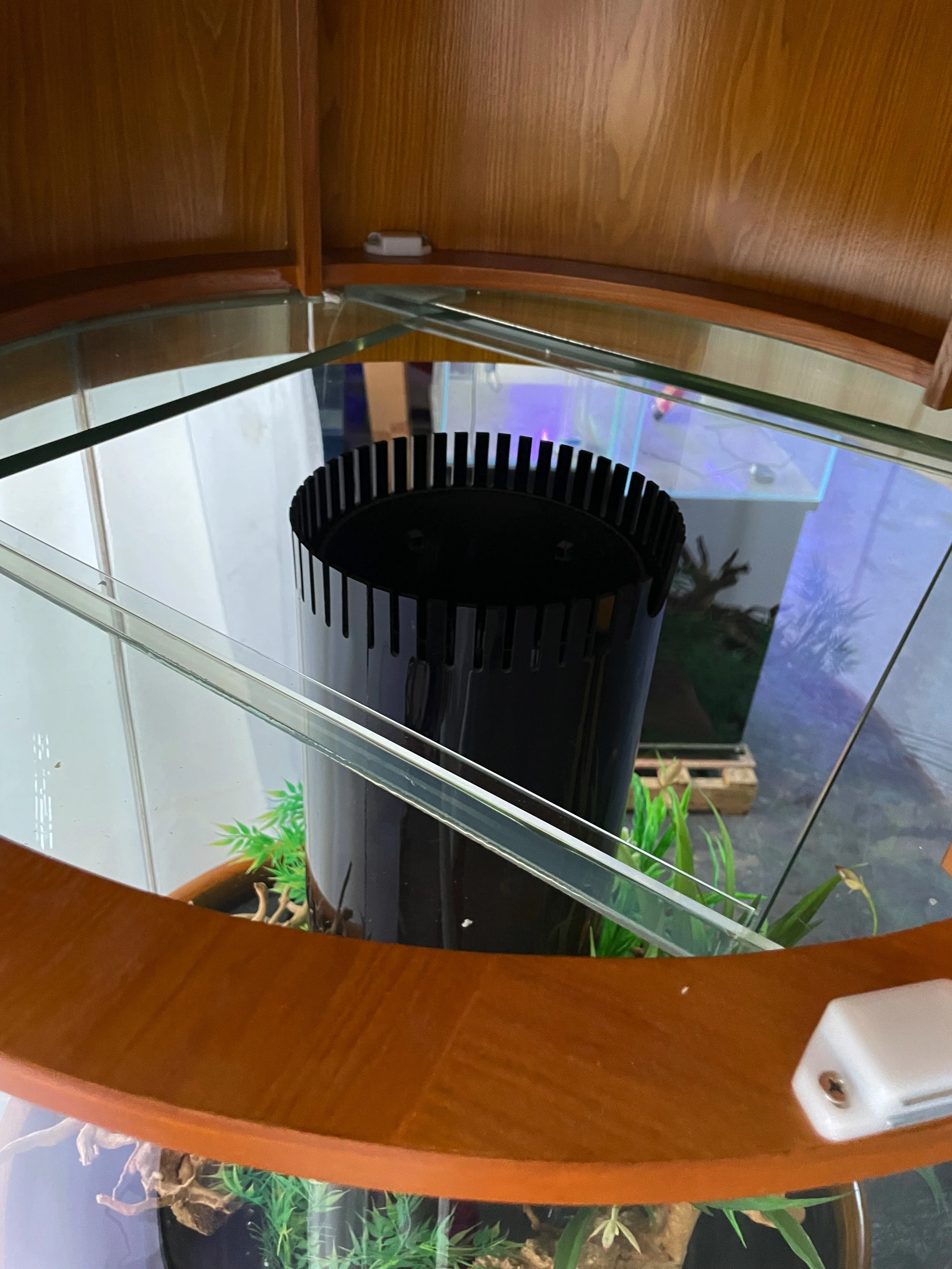 100 Gallon Glass Full Cylinder Aquarium Minor Blemish Reef-Ready Aquarium in Golden Oak Real Wood Furniture - Image 3