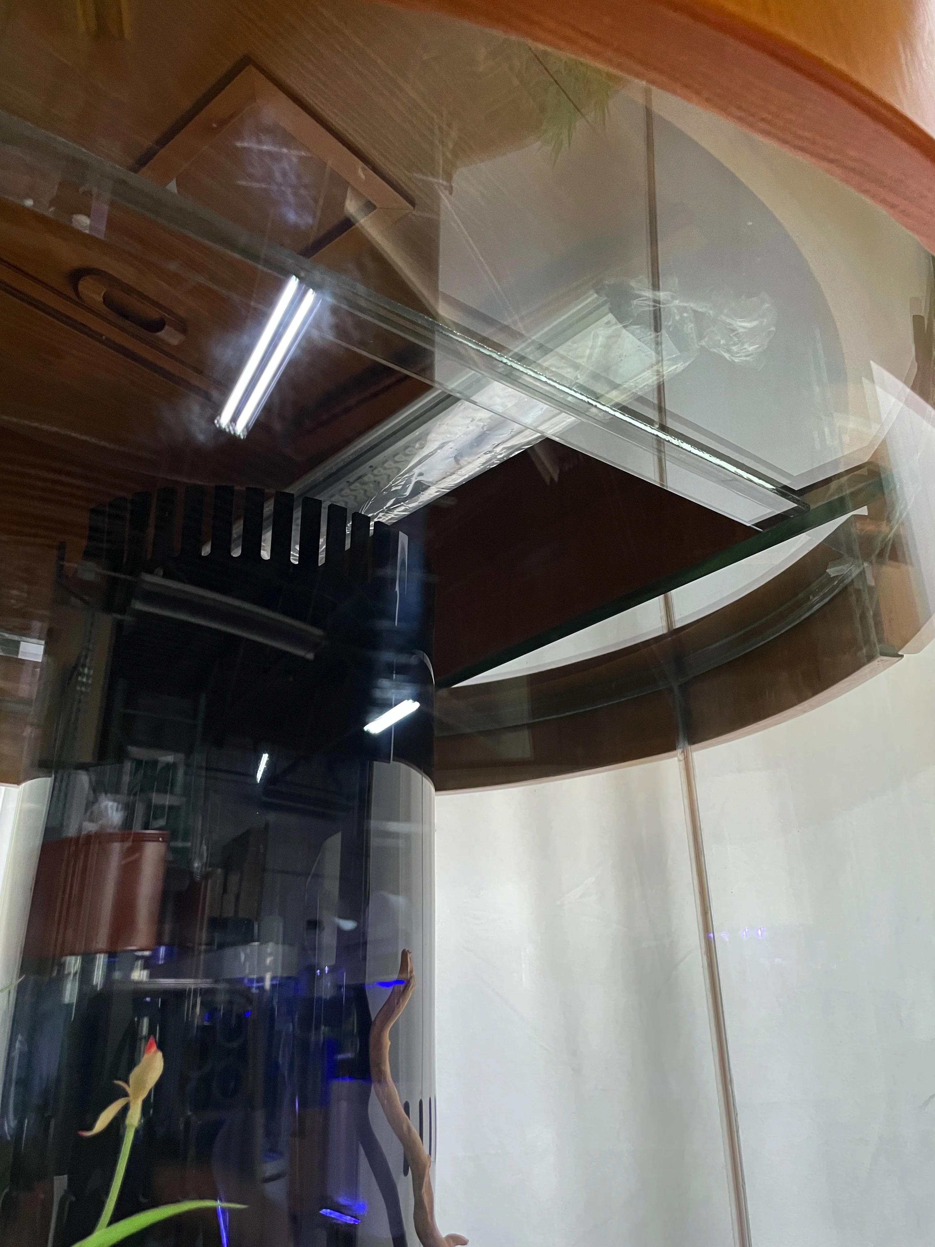 100 Gallon Glass Full Cylinder Aquarium Minor Blemish Reef-Ready Aquarium in Golden Oak Real Wood Furniture - Image 6