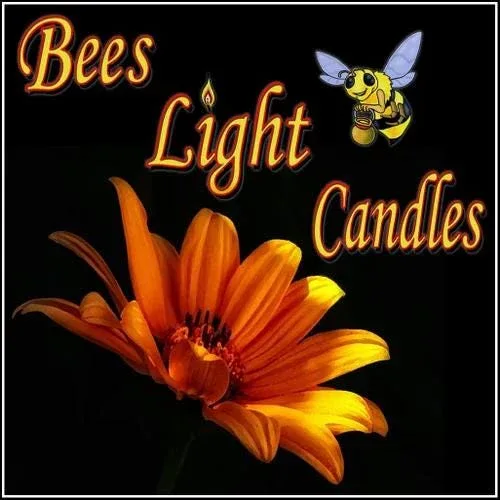 100 Pack of Clear Tealight Candle Boxes - Holds 6 Candles Per Box - Image 2