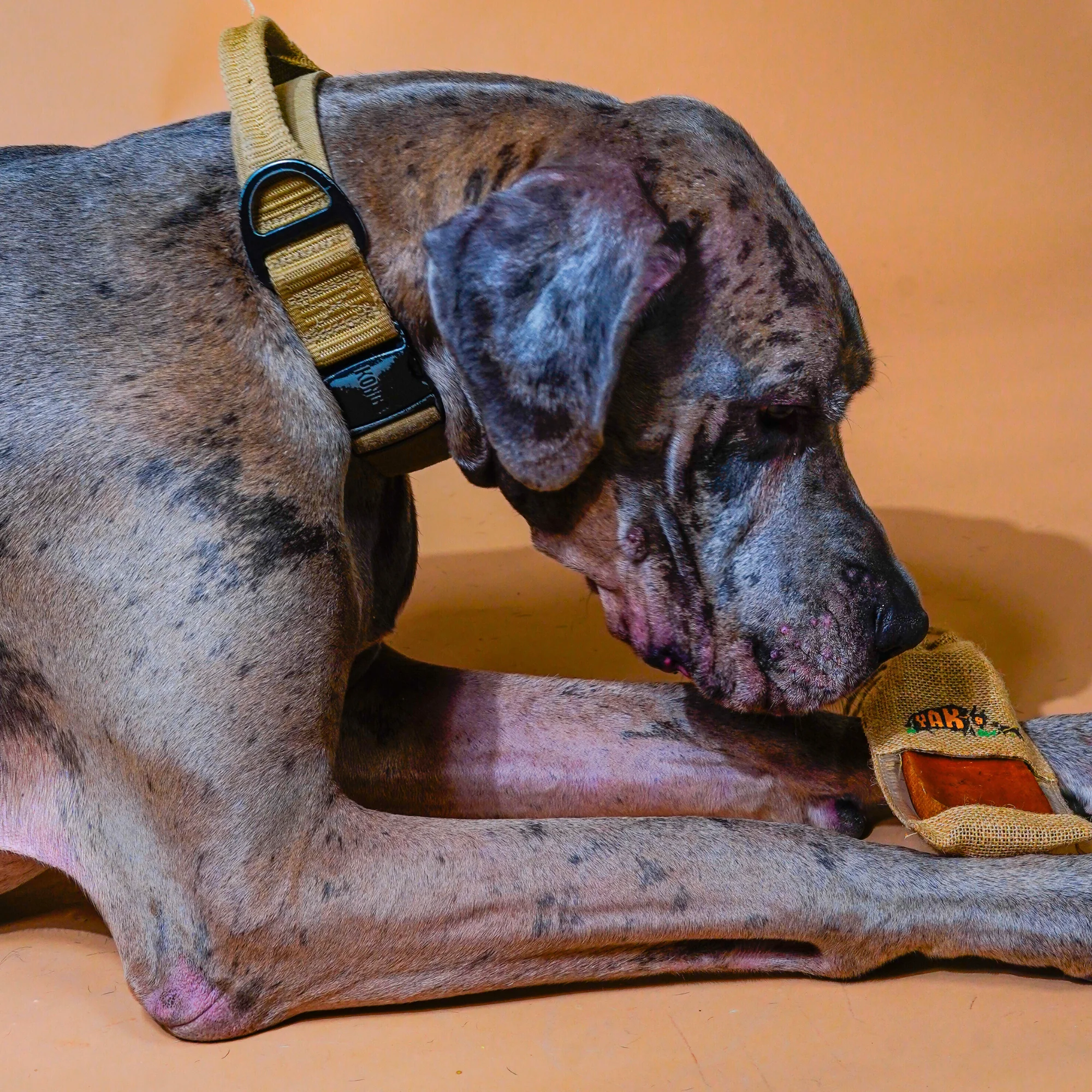 100% Yak Milk Chews for Dogs - Image 3