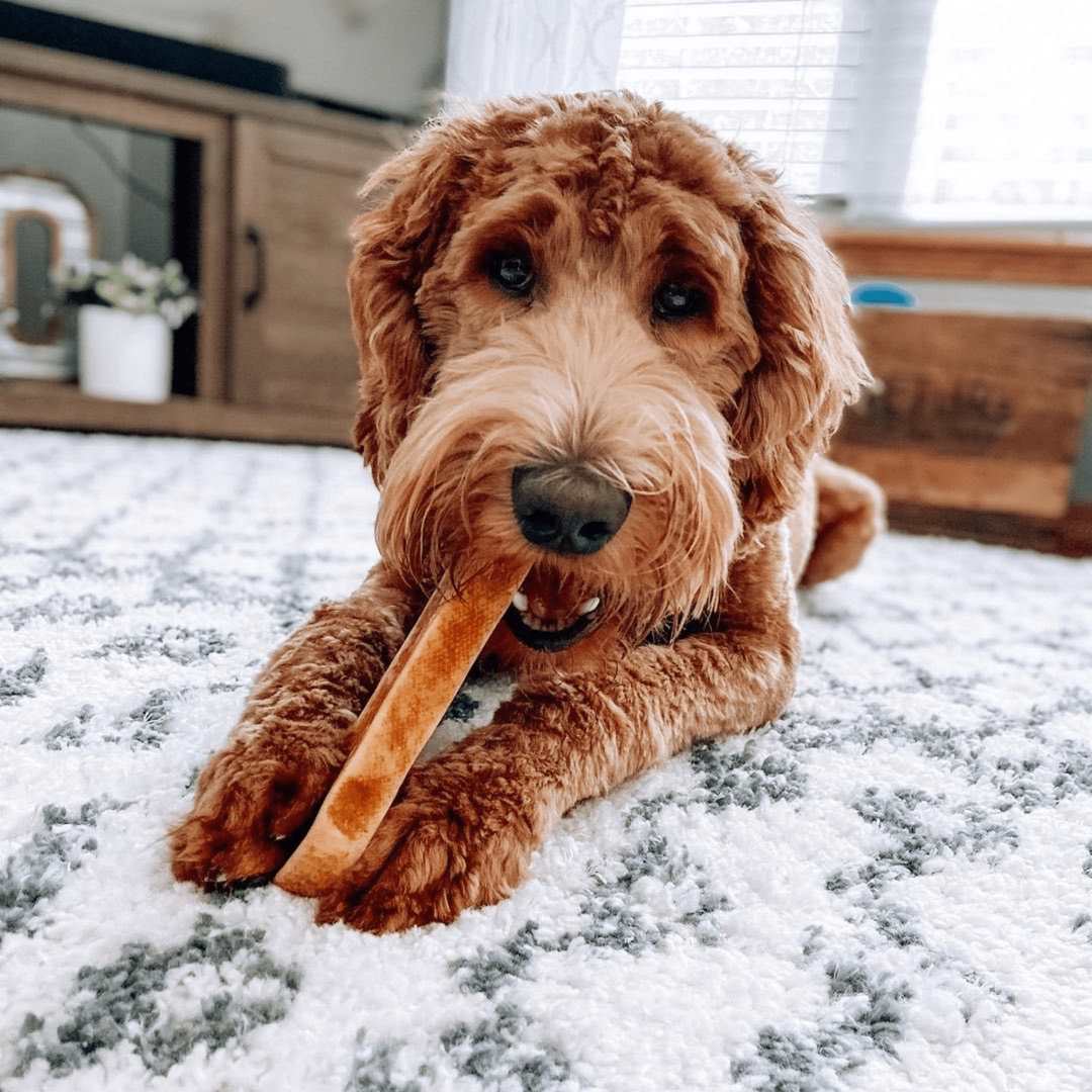 100% Yak Milk Chews for Dogs - Image 4