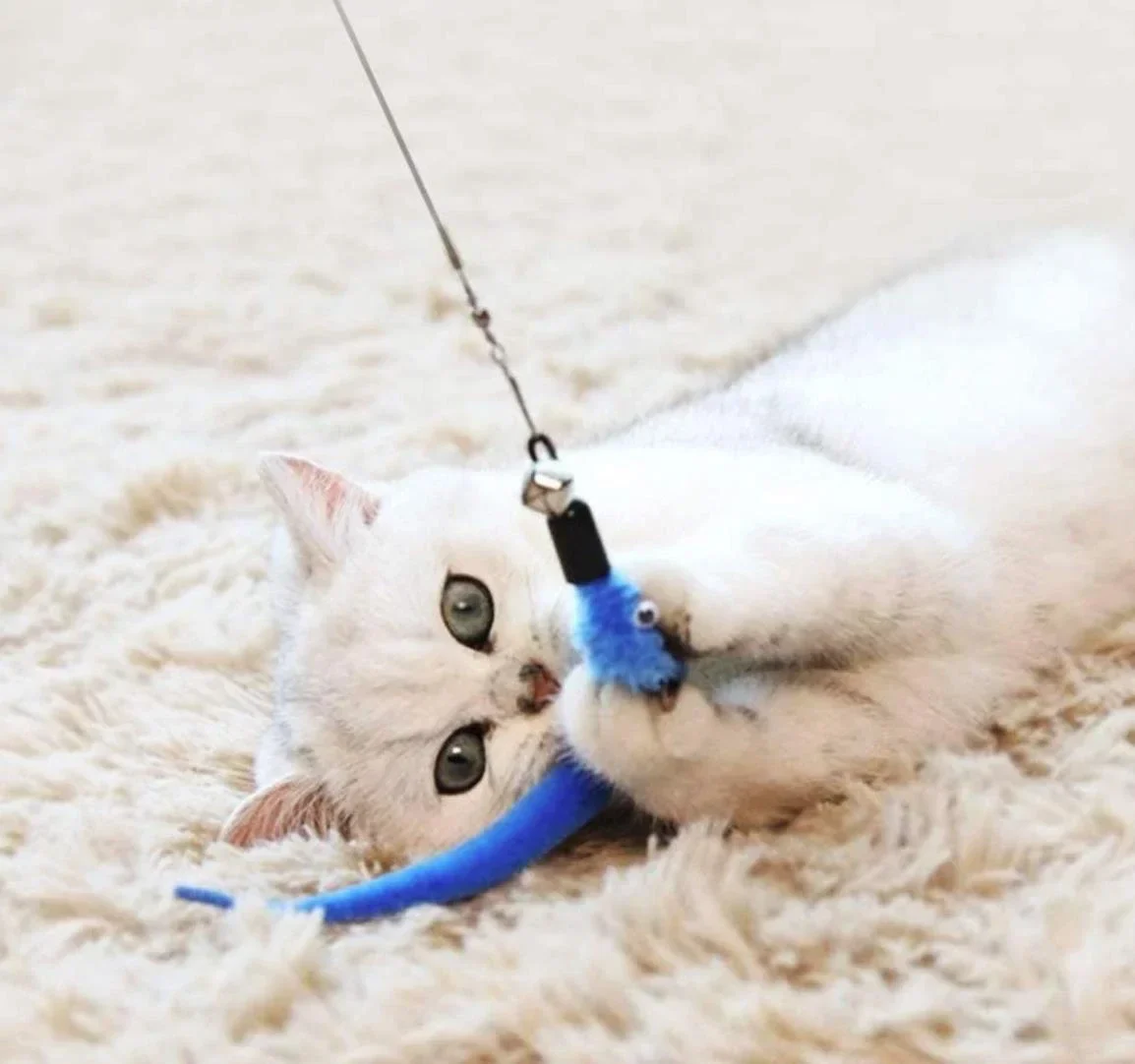 11PCS Cat Feather Toy Set – Replacement Feather Heads & Retractable Cat Wand Interactive Teaser Toys - Image 5