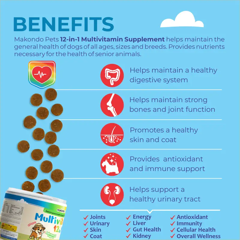 12 in 1 Multivitamin for Dogs - 120 Soft Chews - Image 2
