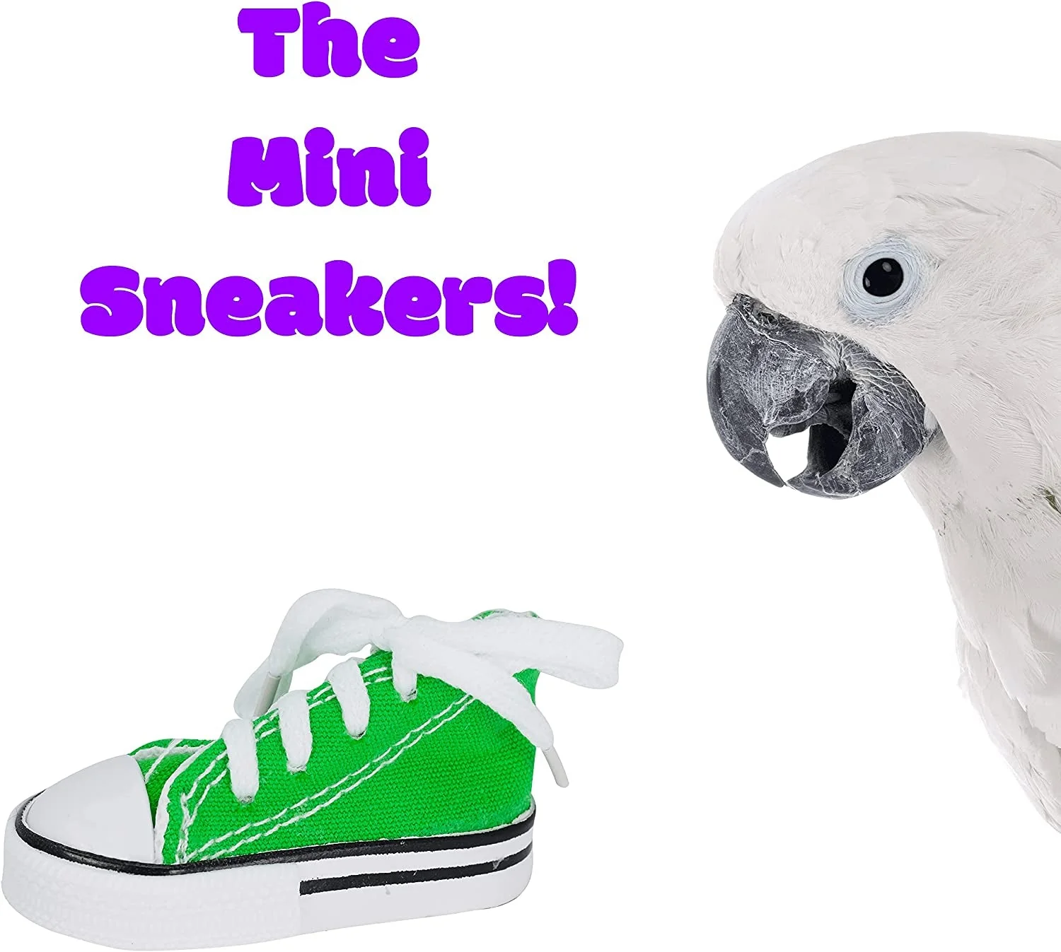 12 Mini Sneakers  Foot Beak Parrot Parrotlet Quaker Budgie Finch Conure Cockateil - Image 7