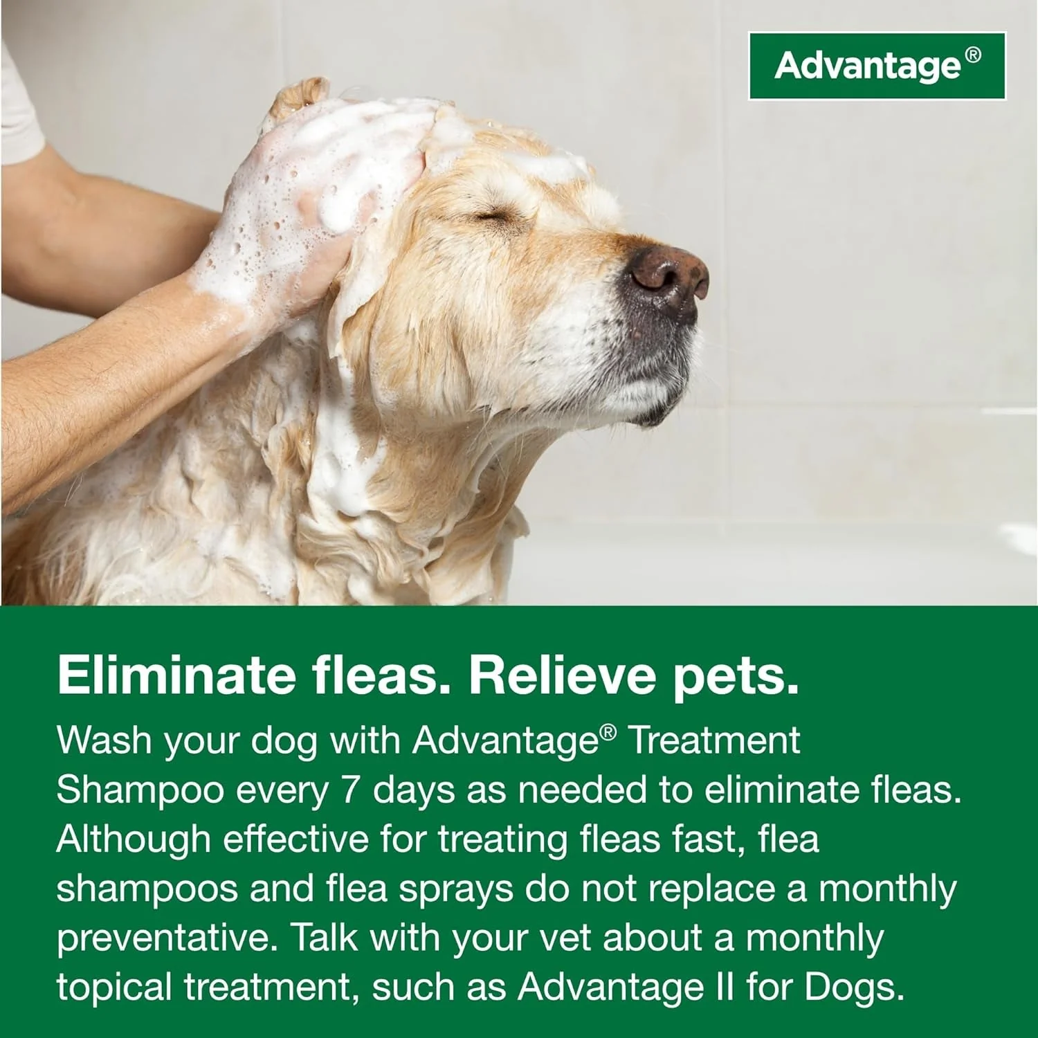 12 Oz Flea & Tick Shampoo for Puppies & Adult Dogs . - Image 10
