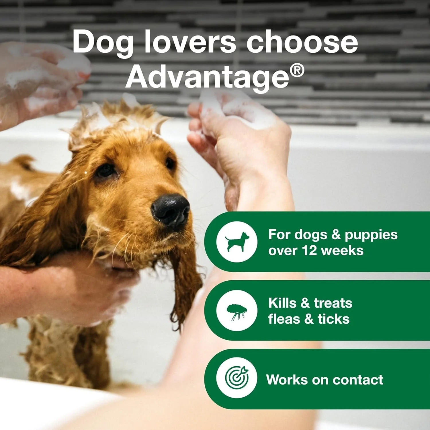 12 Oz Flea & Tick Shampoo for Puppies & Adult Dogs . - Image 4