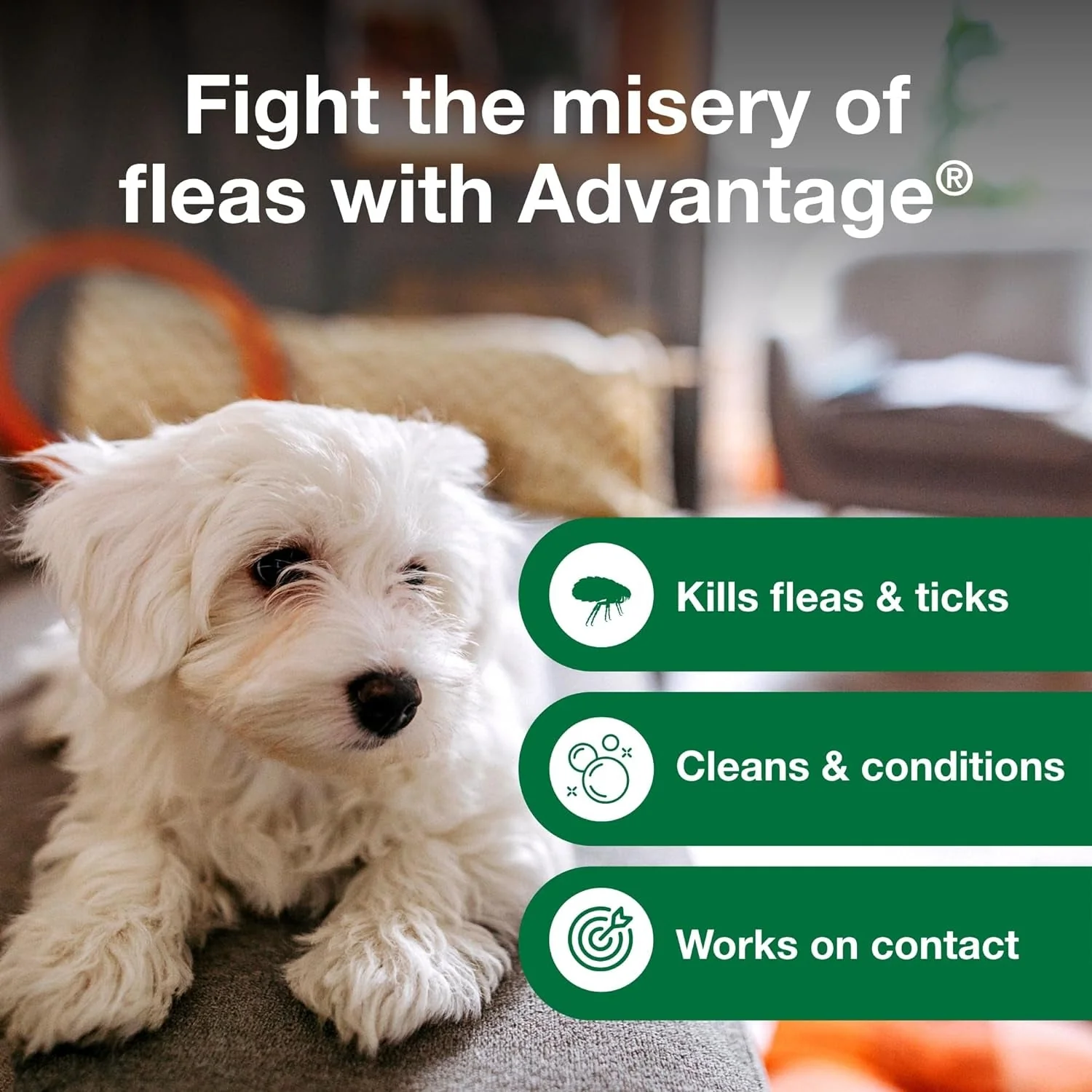 12 Oz Flea & Tick Shampoo for Puppies & Adult Dogs . - Image 6