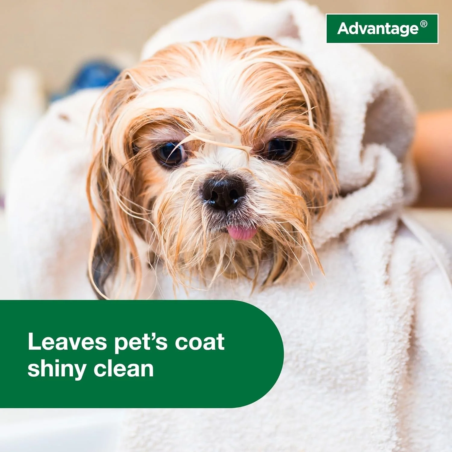 12 Oz Flea & Tick Shampoo for Puppies & Adult Dogs . - Image 7