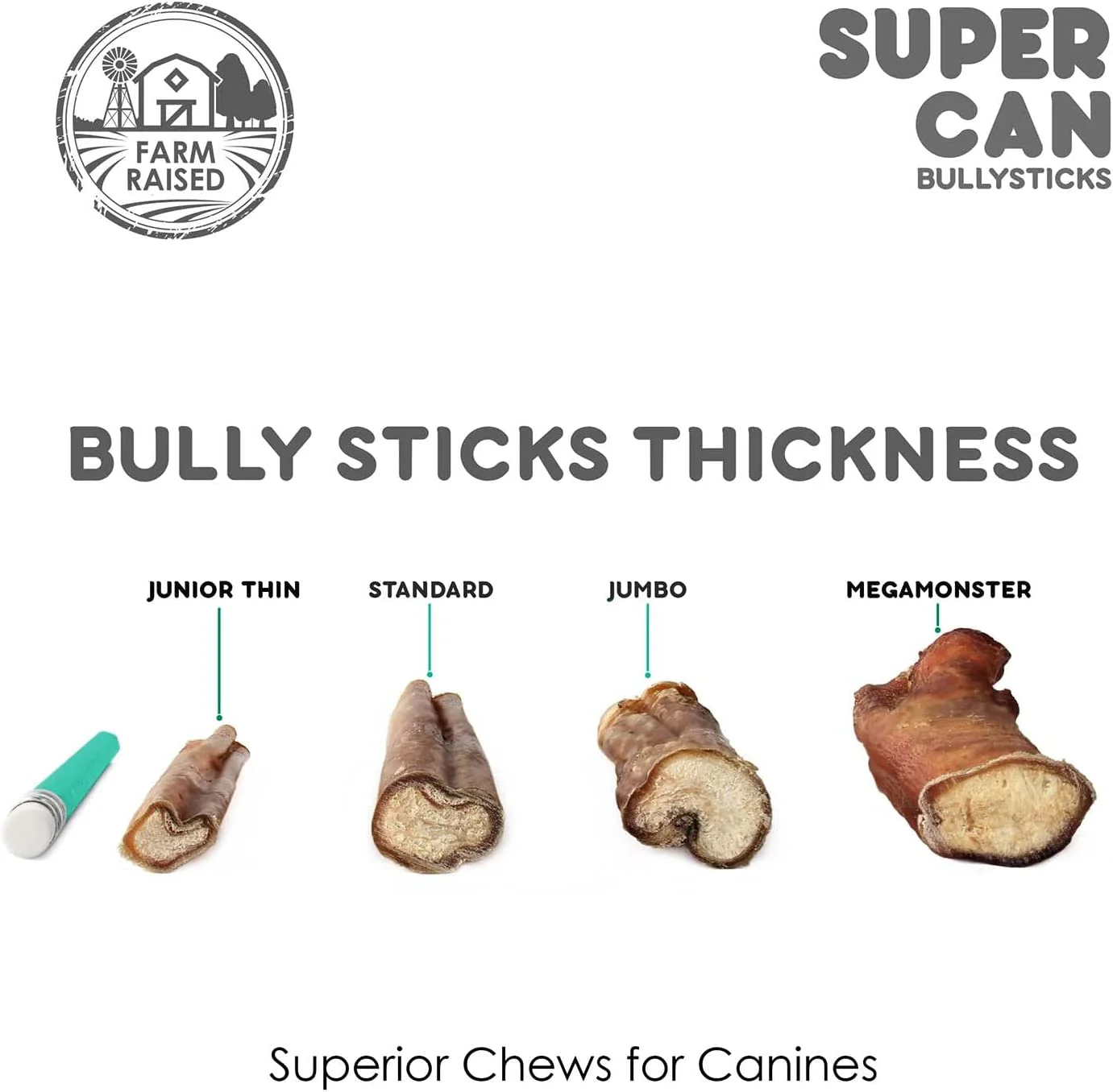 12" Standard Bully Sticks - Image 5