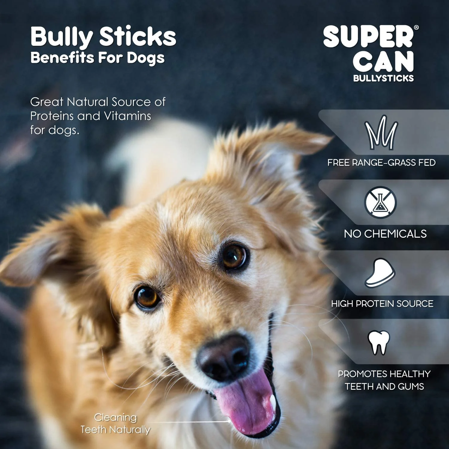 12" Standard Bully Sticks - Image 6