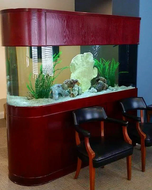 120 Gallon U-Shape Bullnose Peninsula Divider Glass Aquarium Reef-Ready in Premium Cherry Real Wood Furniture - Image 2