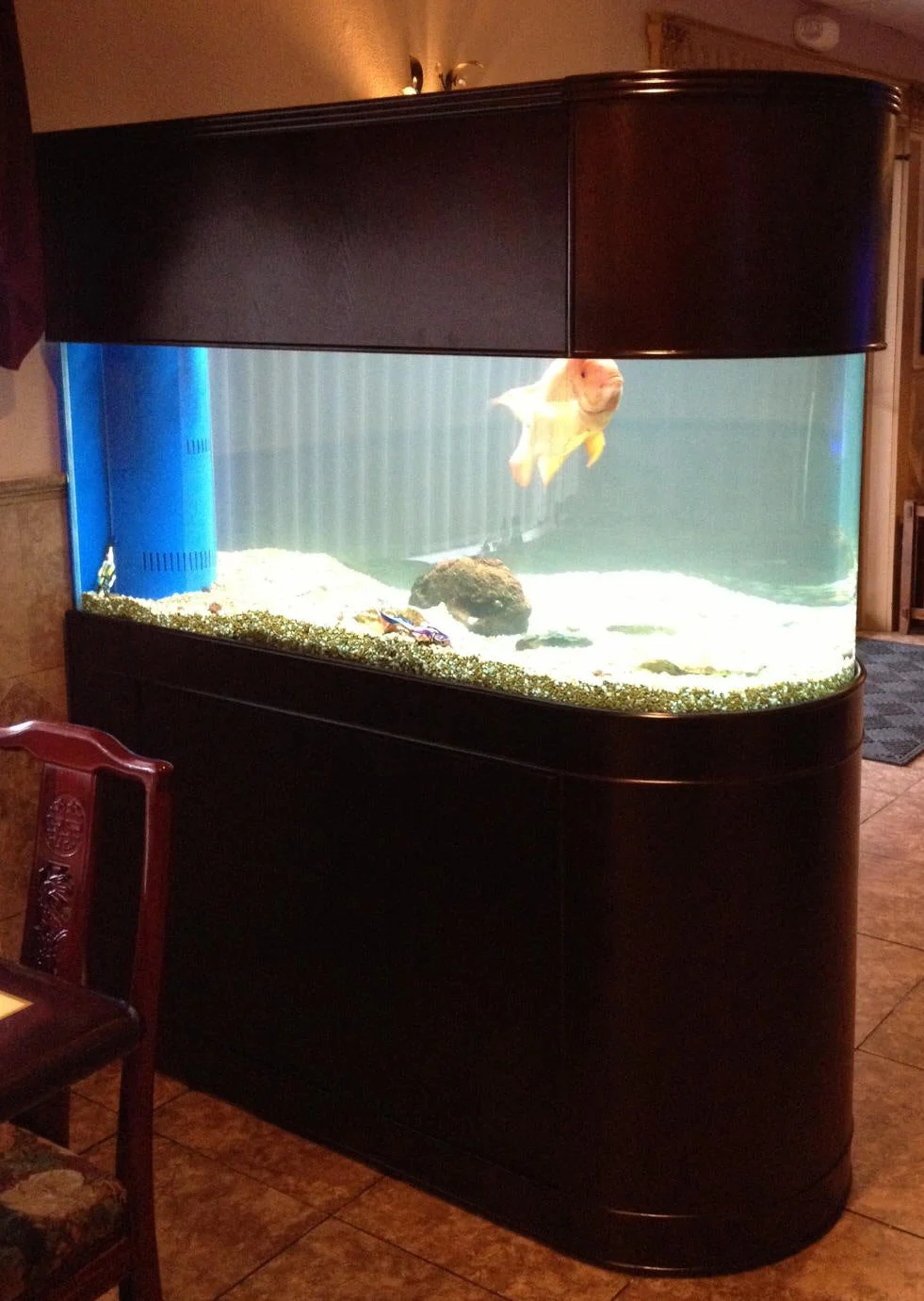 120 Gallon U-Shape Bullnose Peninsula Divider Glass Aquarium Reef-Ready in Premium Cherry Real Wood Furniture - Image 3