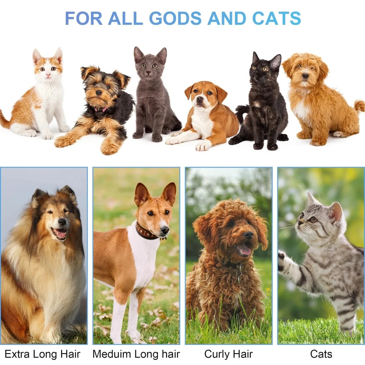 14Kpa Dog Grooming Kit & Vacuum, 2.5L Pet Hair Vacuum Suction - Image 4
