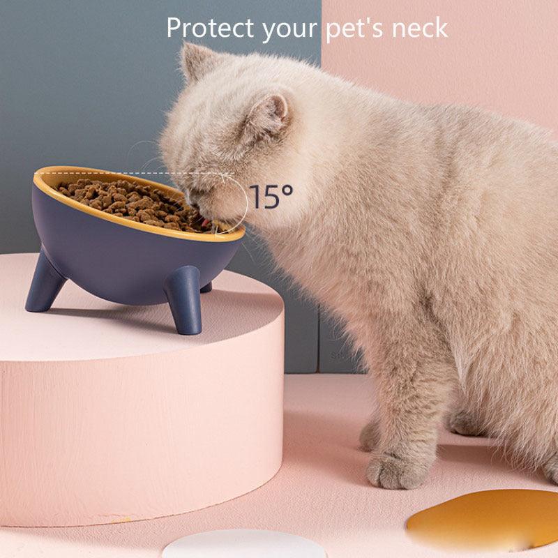 15° Tilted Raised Pet Feeding Bowls - Image 6