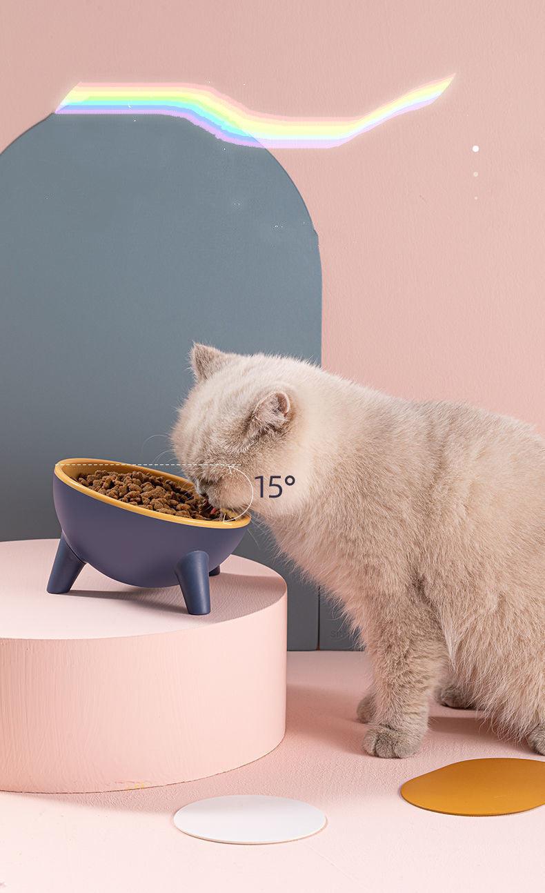 15° Tilted Raised Pet Feeding Bowls - Image 7