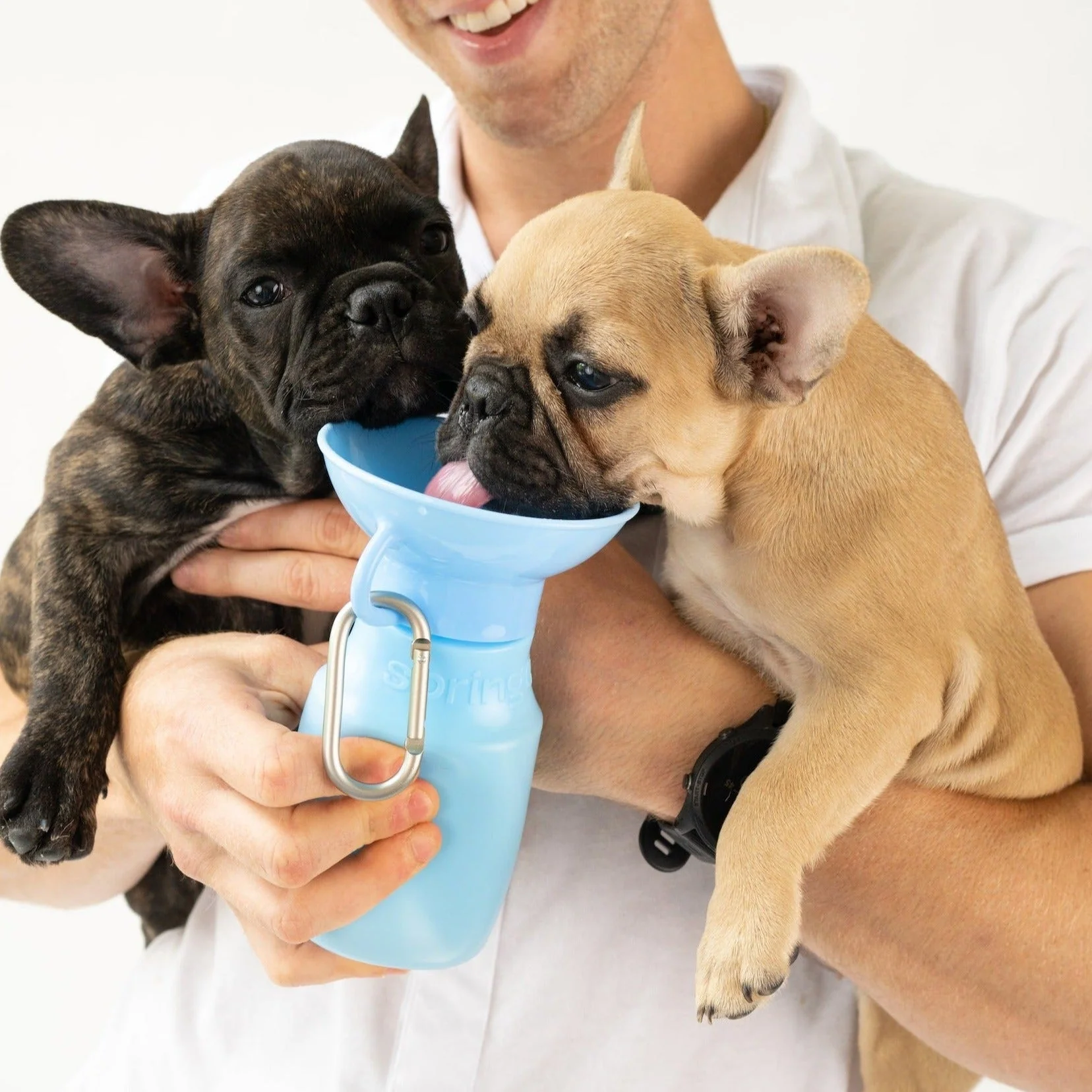 15oz Original Dog Travel Water Bottle - Image 11