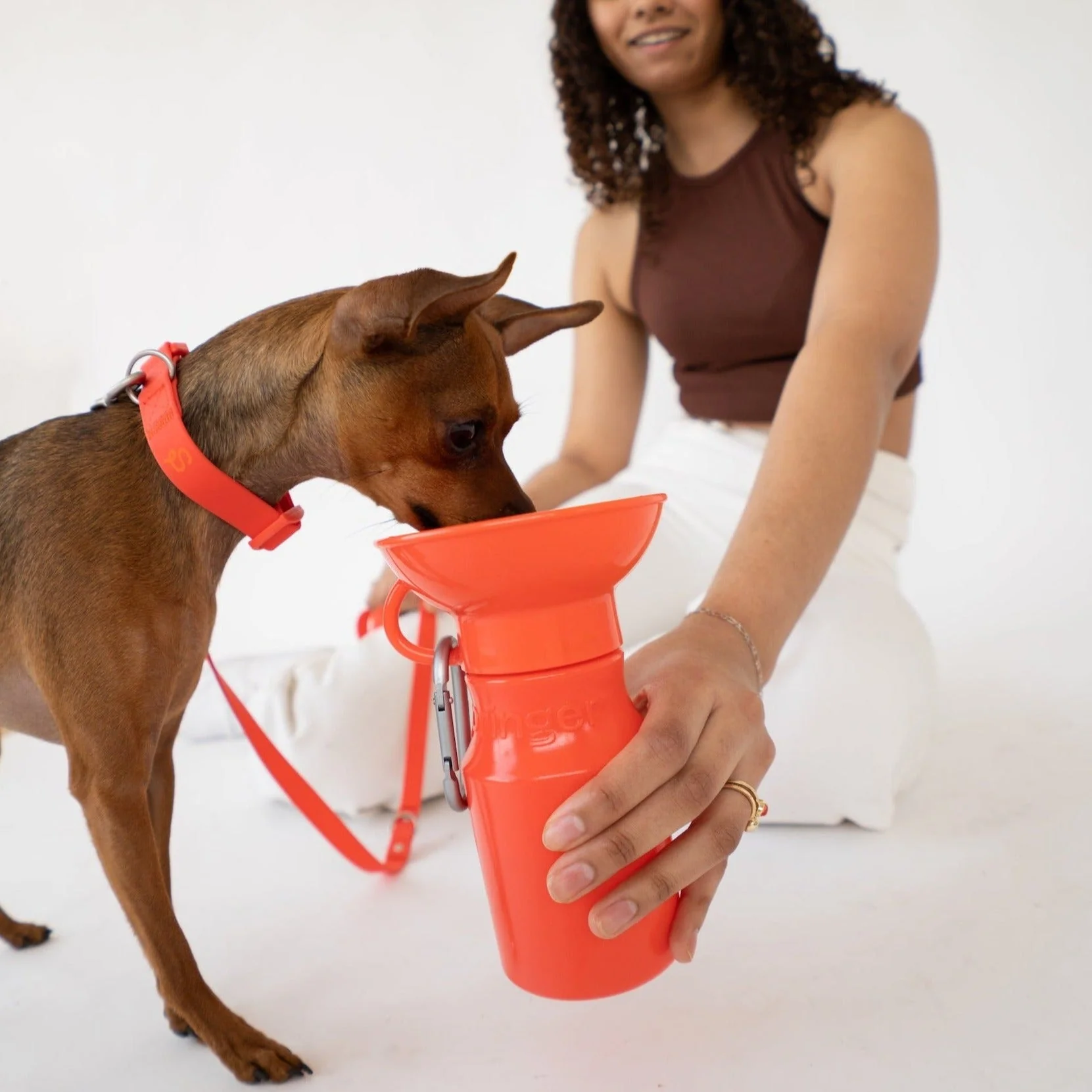 15oz Original Dog Travel Water Bottle - Image 13