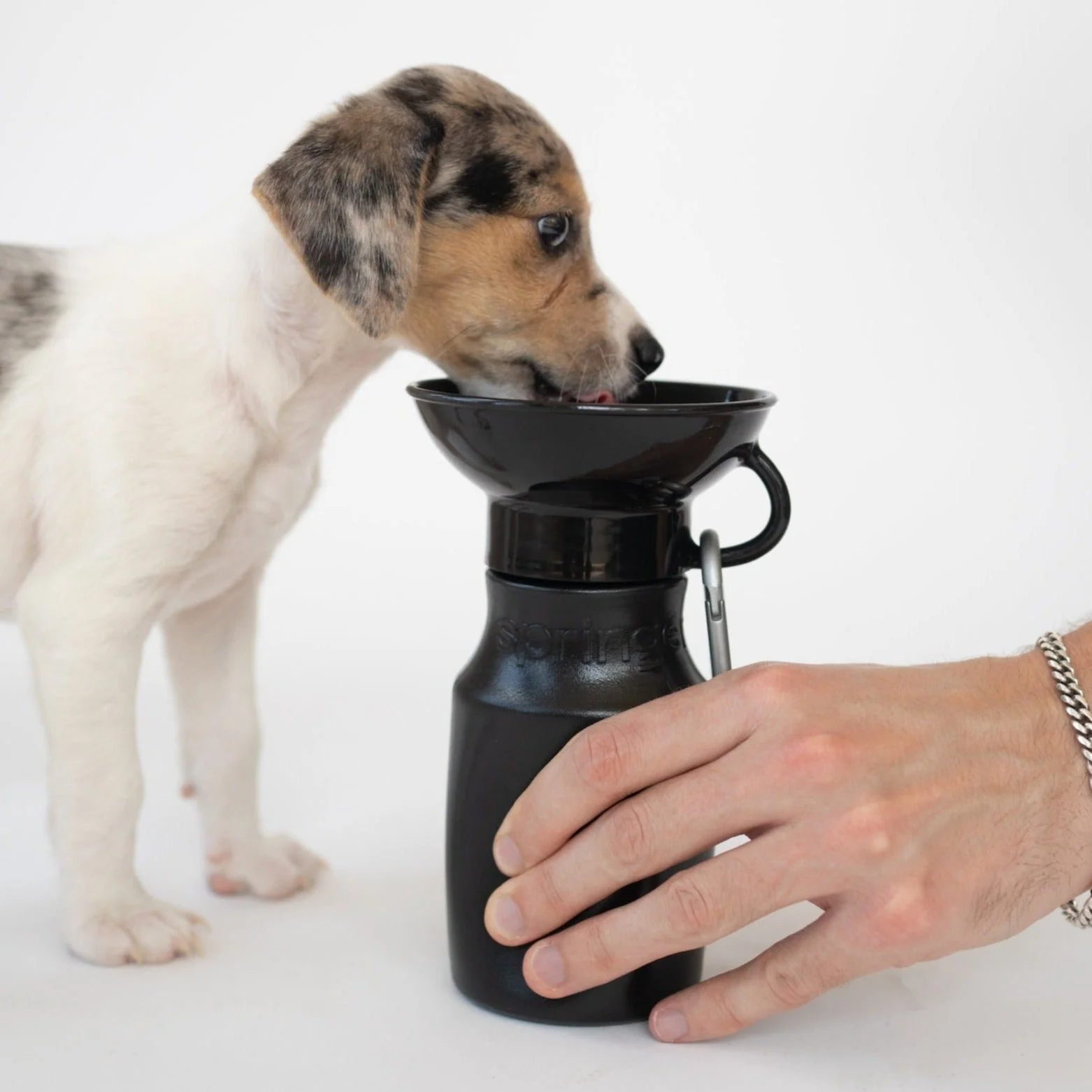 15oz Original Dog Travel Water Bottle - Image 15