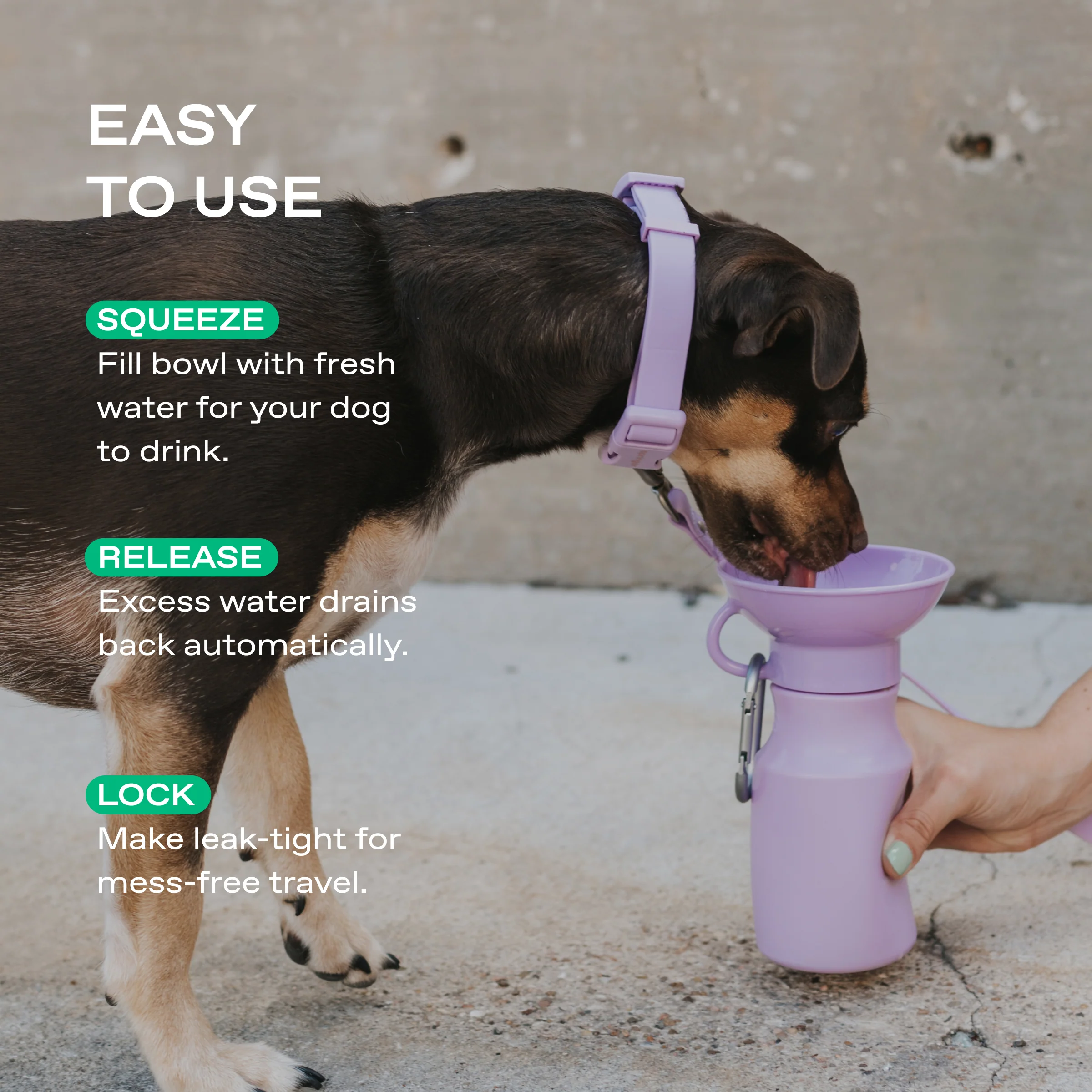 15oz Original Dog Travel Water Bottle - Image 6