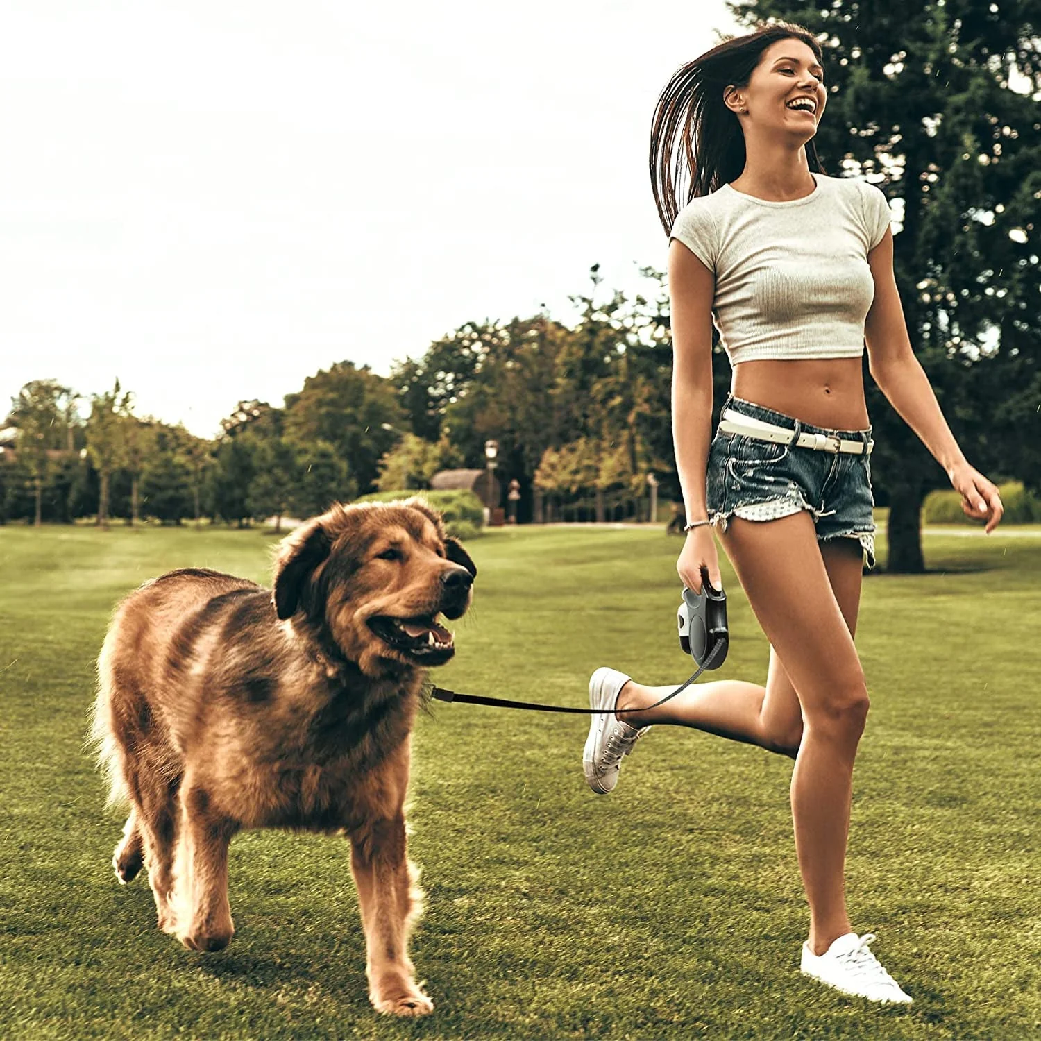 16 ft Retractable Dog Leash with Dispenser and Poop Bags - Image 7