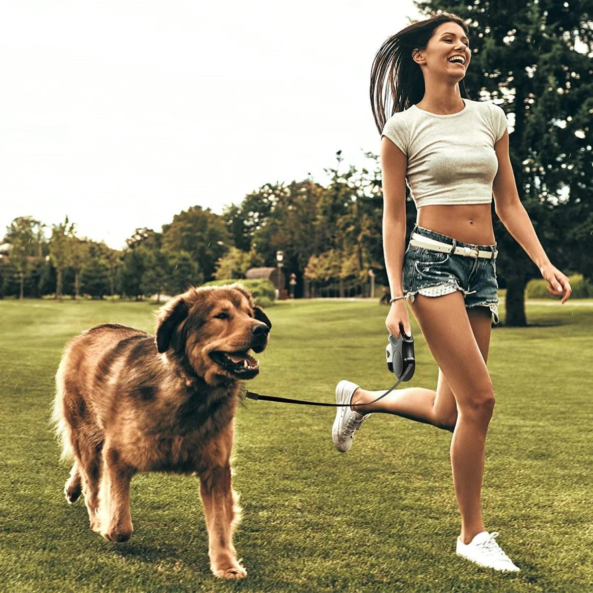 16ft Retractable Dog Leash with Dispenser and Poop Bags - Image 7