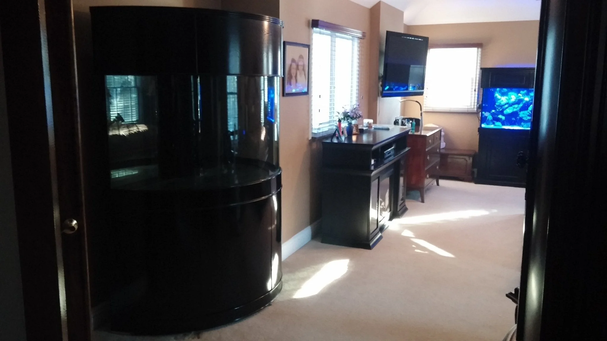 180 Gallon Half Cylinder Glass Reef-Ready Aquarium Set in Abyss Black - Image 5