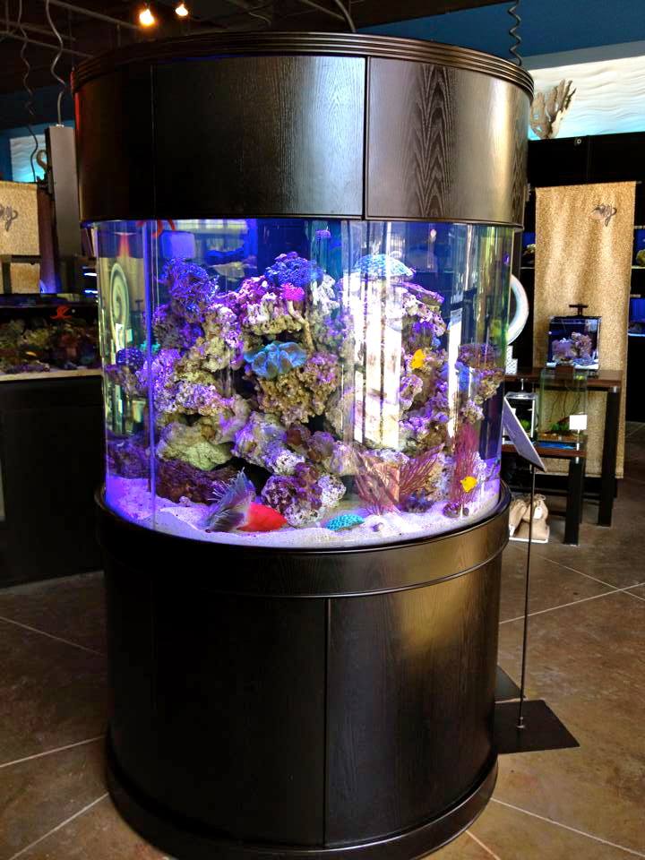 185g Glass Full Cylinder Aquarium Set in Unstained Wood Furniture - Image 2