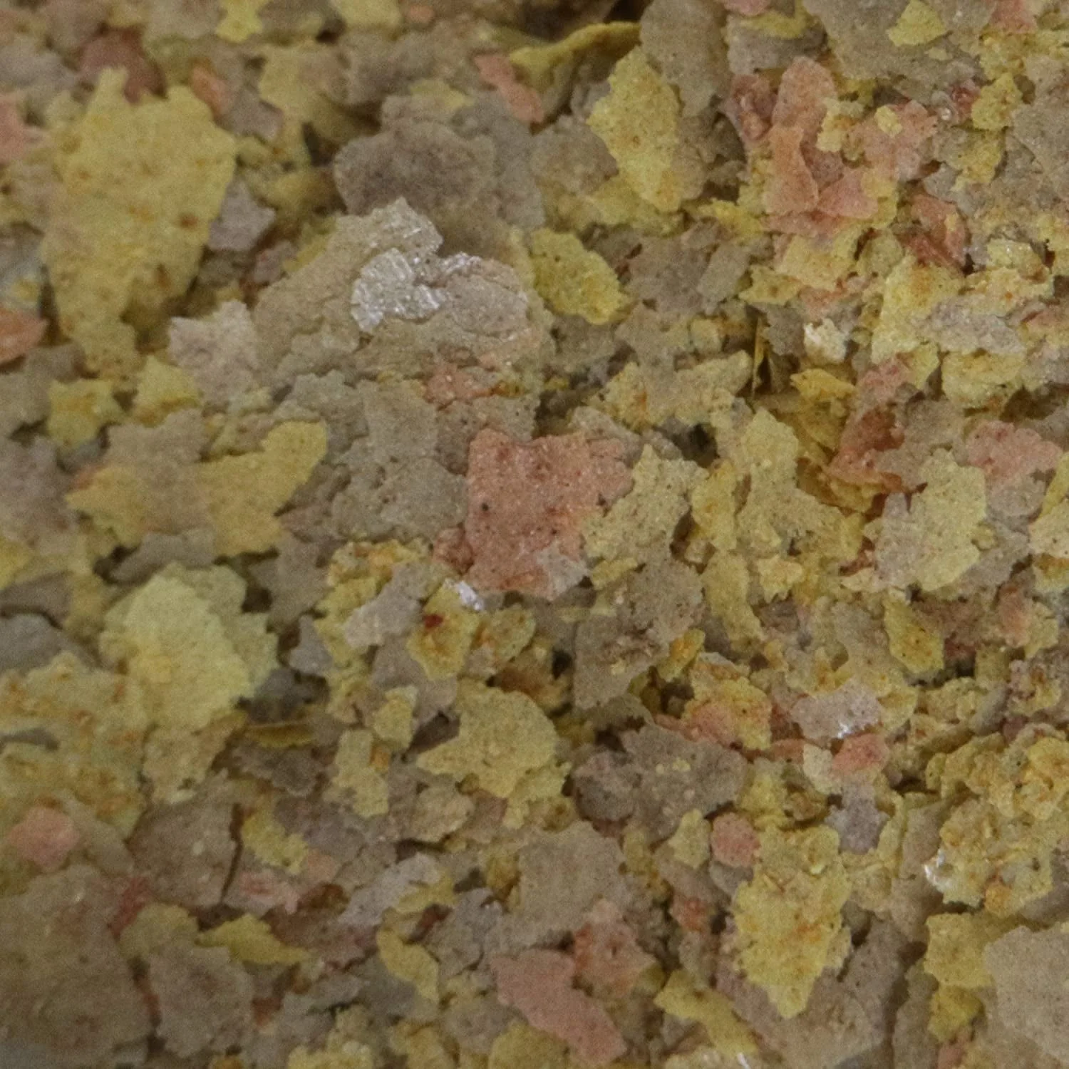 2.1-OUNCE TROPICAL GREENS FLAKES - Image 3