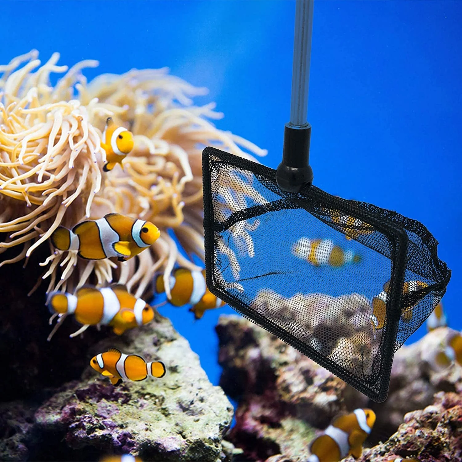 2.5 Inch Fish Net for Fish Tank - Image 4