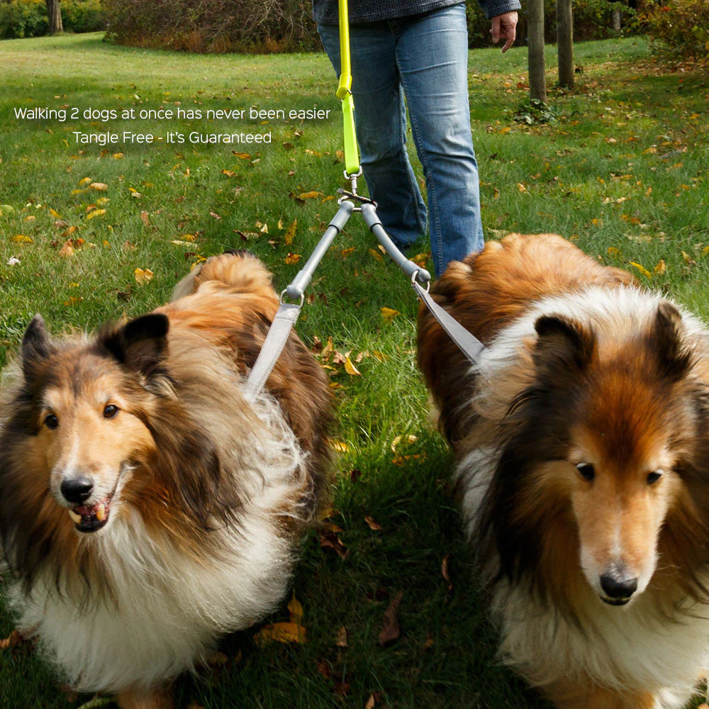 2 Dogs on 1 Leash - CRAZYcoupl'r - Image 2