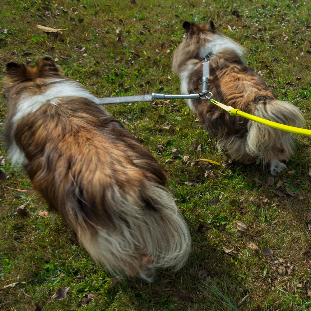 2 Dogs on 1 Leash - CRAZYcoupl'r - Image 3
