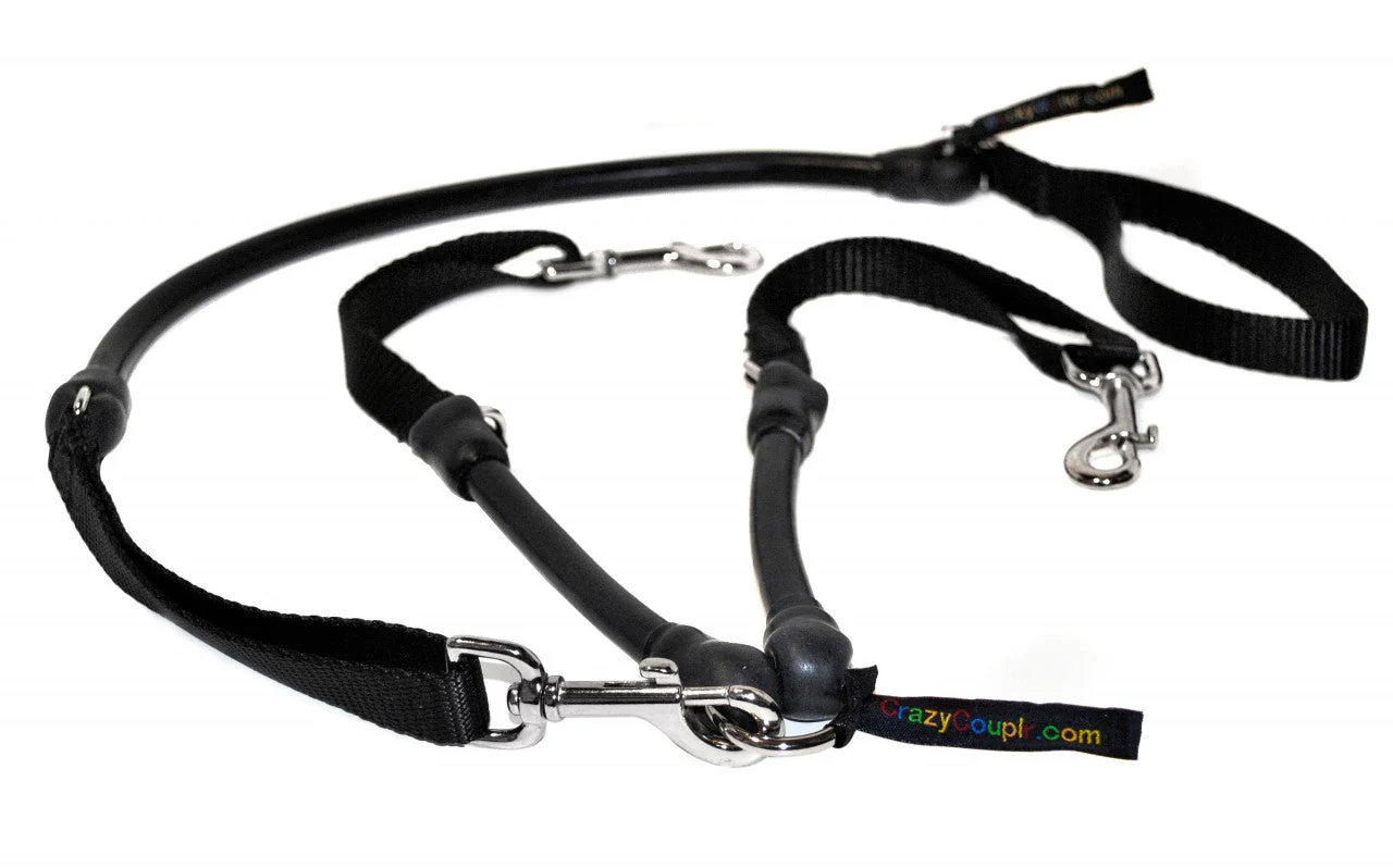 2 Dogs on 1 Leash - CRAZYcoupl'r - Image 5