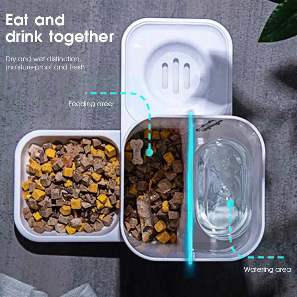 2 in 1 Automatic Auto Pet Feeder - Image 6
