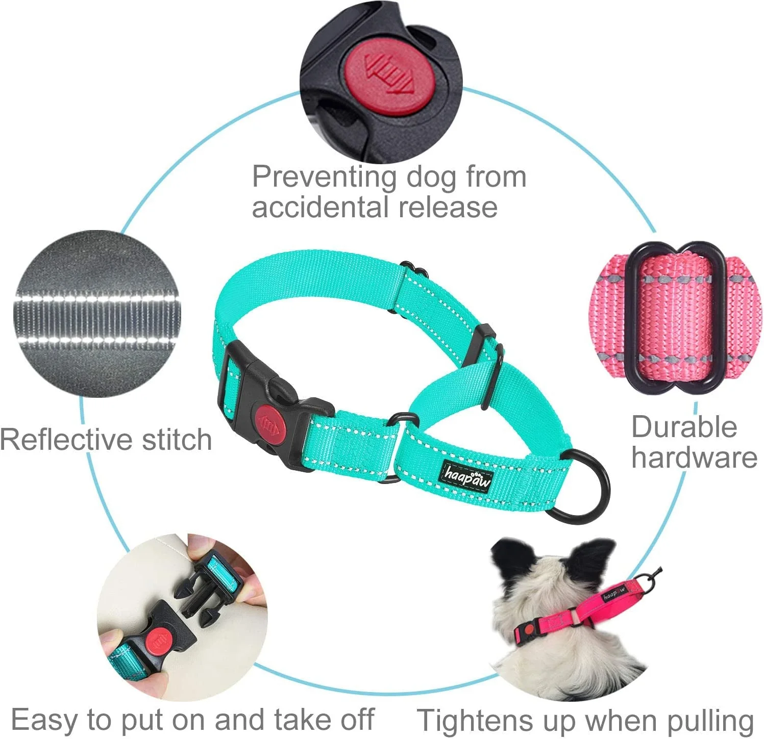 2 Packs Dog Training Collars for Small Medium Large Dogs - Image 2