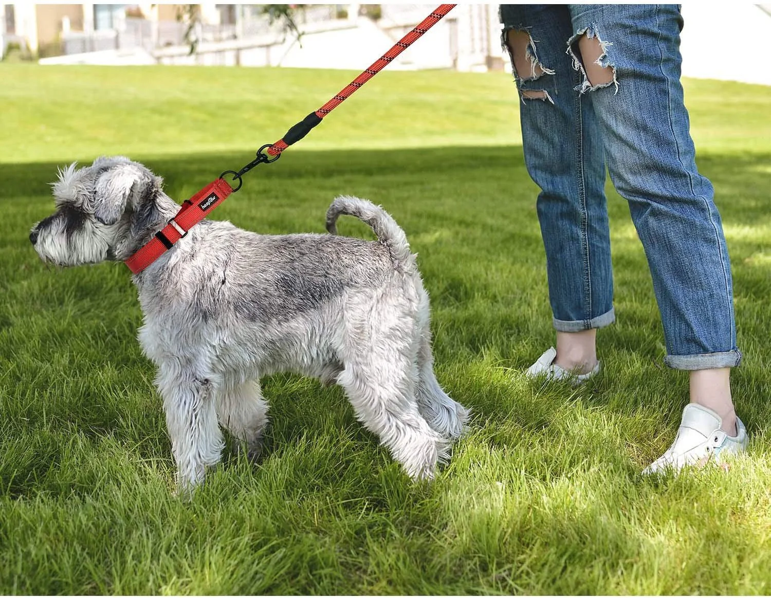 2 Packs Dog Training Collars for Small Medium Large Dogs - Image 5