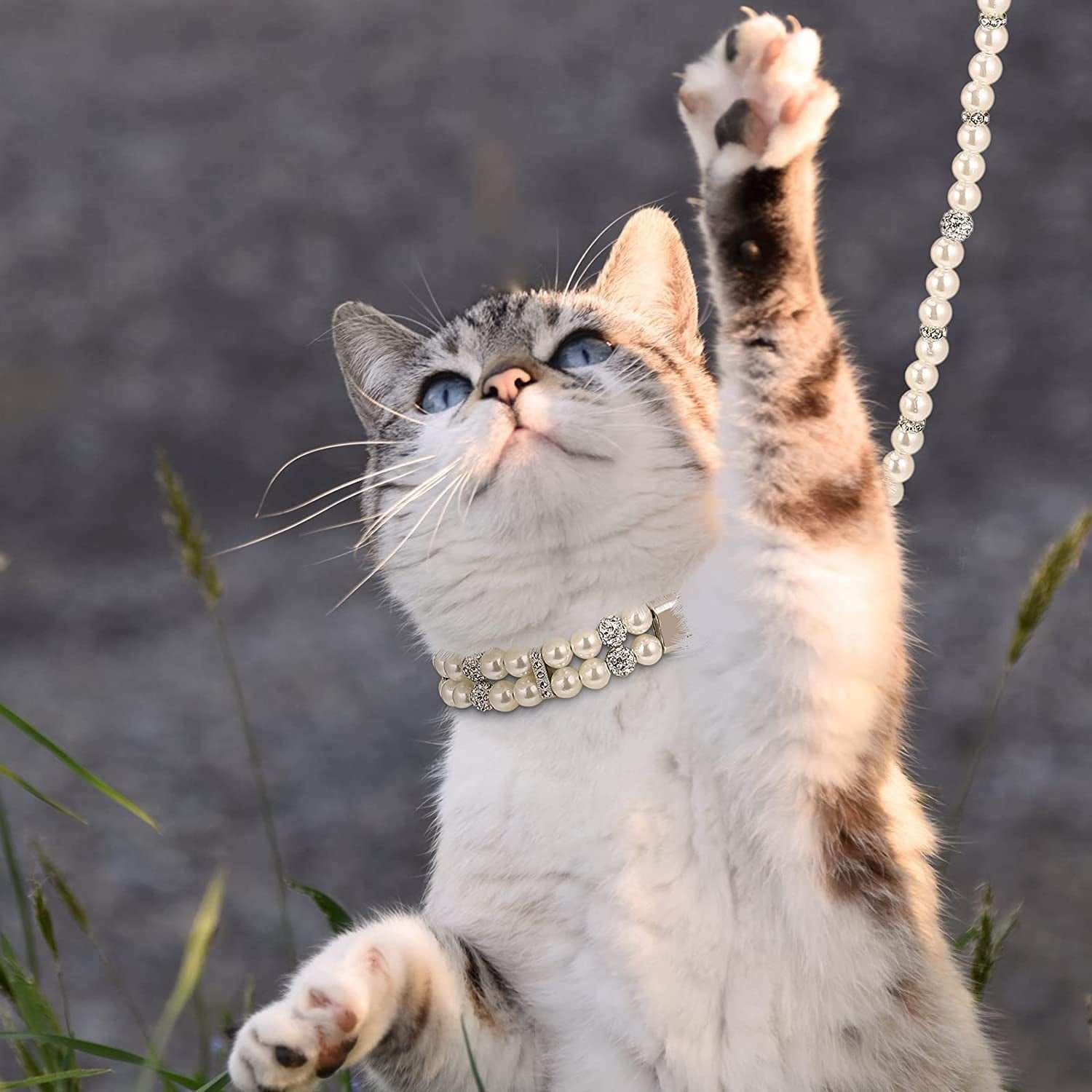 2 Pcs Pearl Collar and Leash for Dogs - Image 3