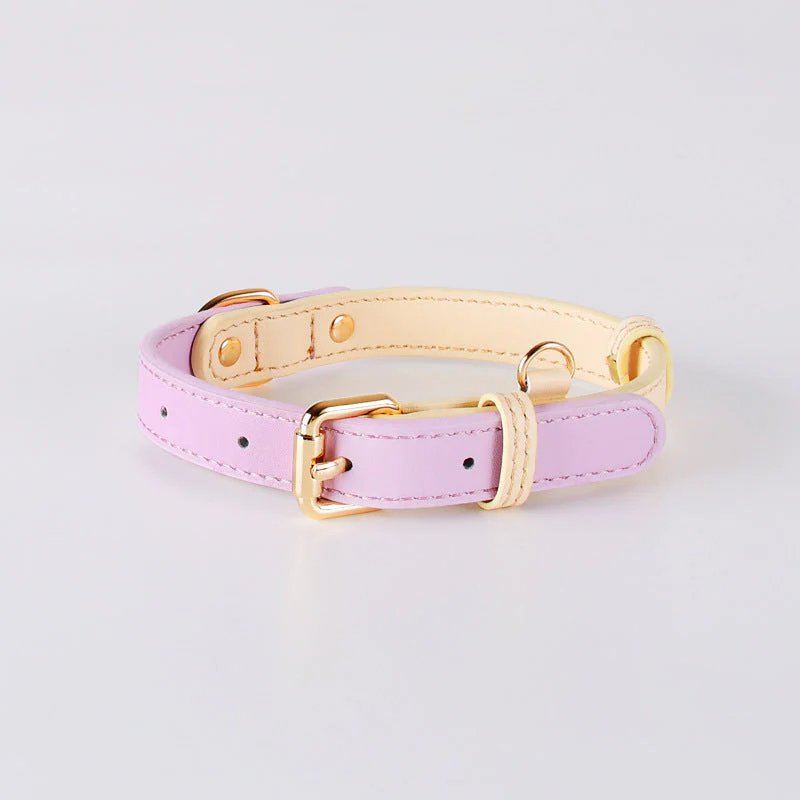 2-Tone Leather Dog Collar – Adjustable & Stylish Pet Walking Accessories - Image 4
