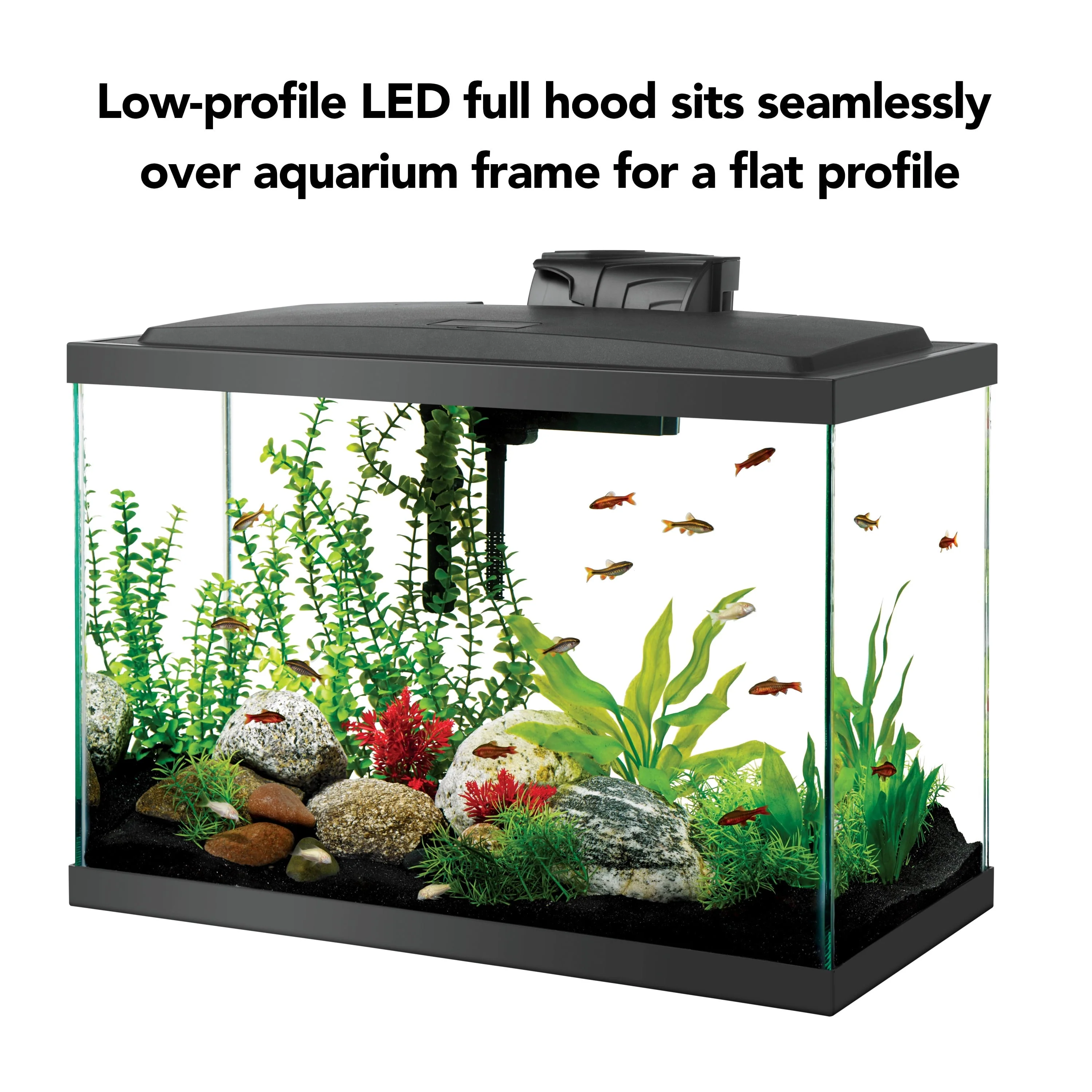 20 Gallon aquarium Starter Kit with LED Lighting - Image 4