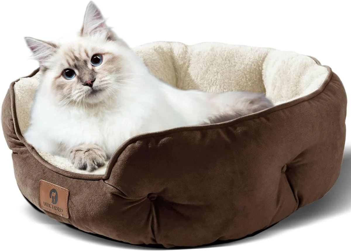 20-Inch Pet Bed: Perfect for Puppies & Kittens - Image 2