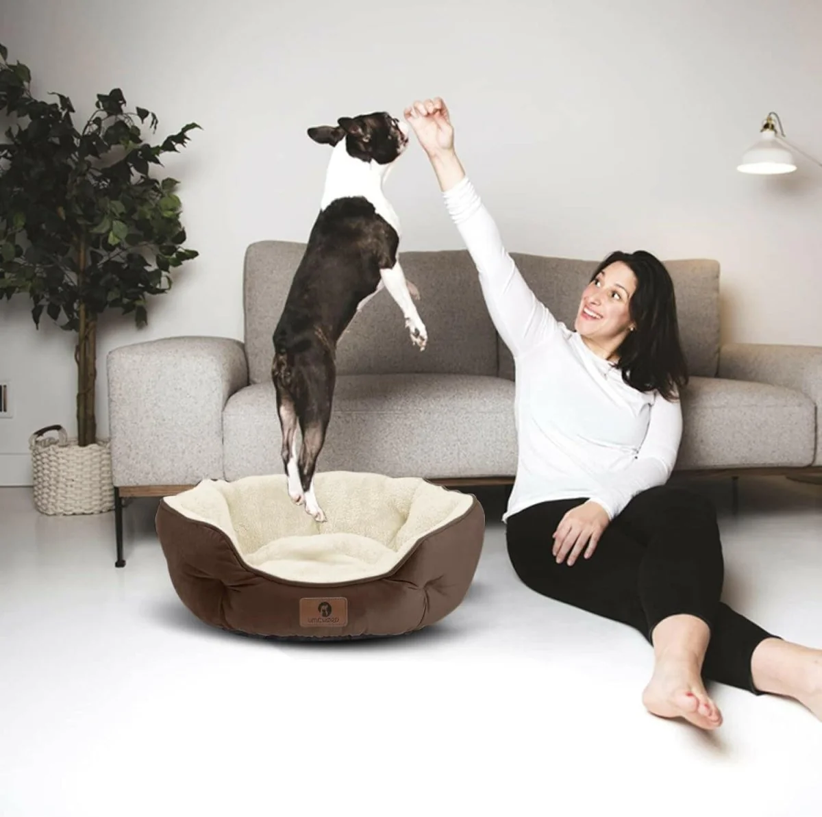 20-Inch Pet Bed: Perfect for Puppies & Kittens - Image 6