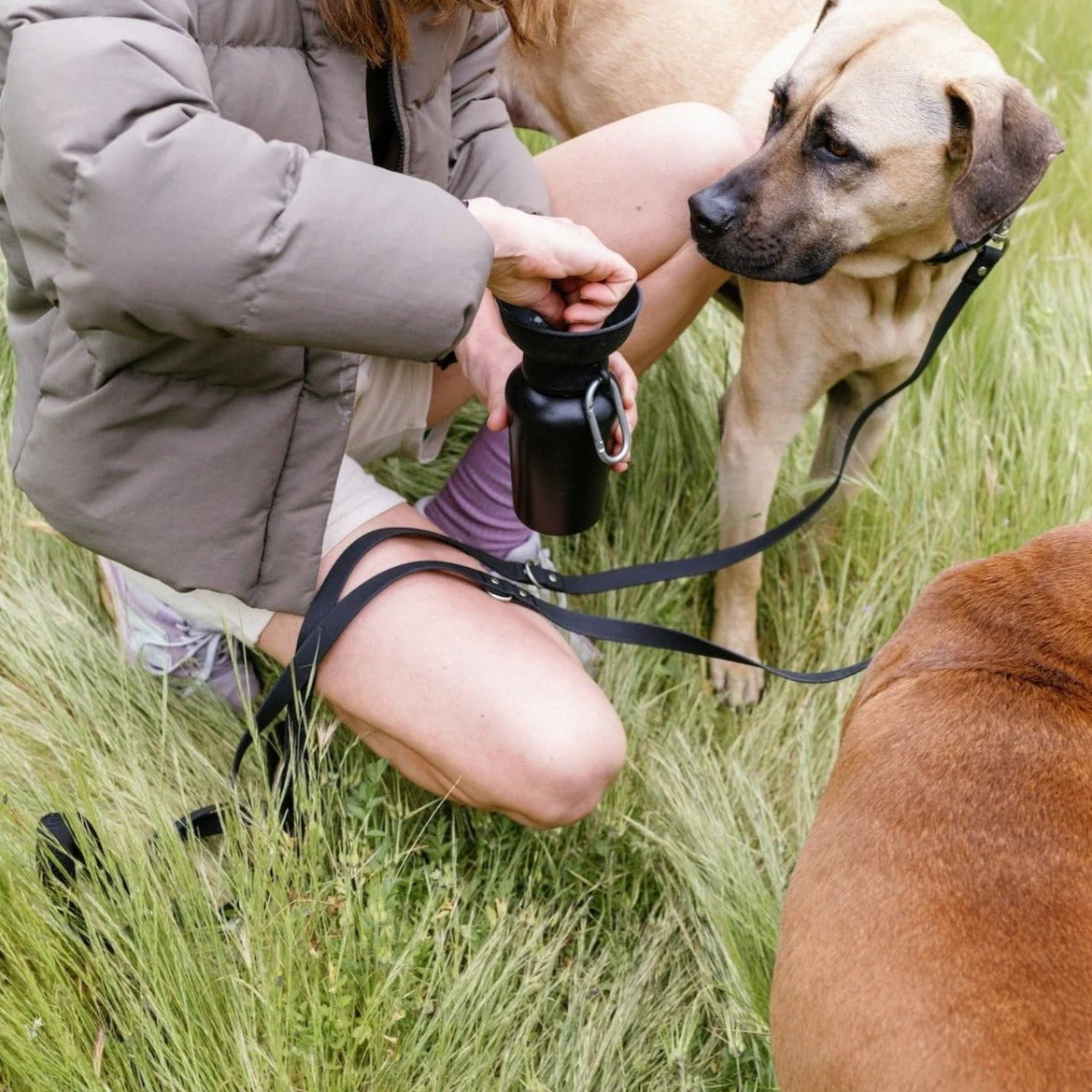 20oz Flip Dog Travel Water Bottle - Image 11