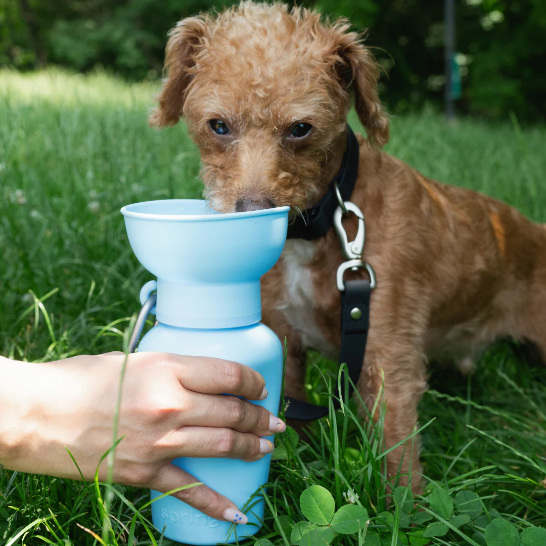 20oz Flip Dog Travel Water Bottle - Image 16