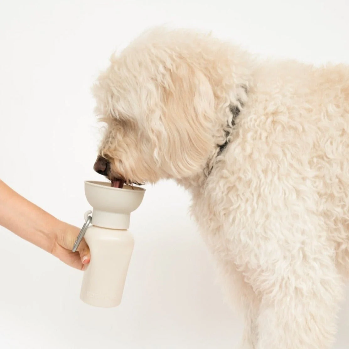 20oz Flip Dog Travel Water Bottle - Image 23