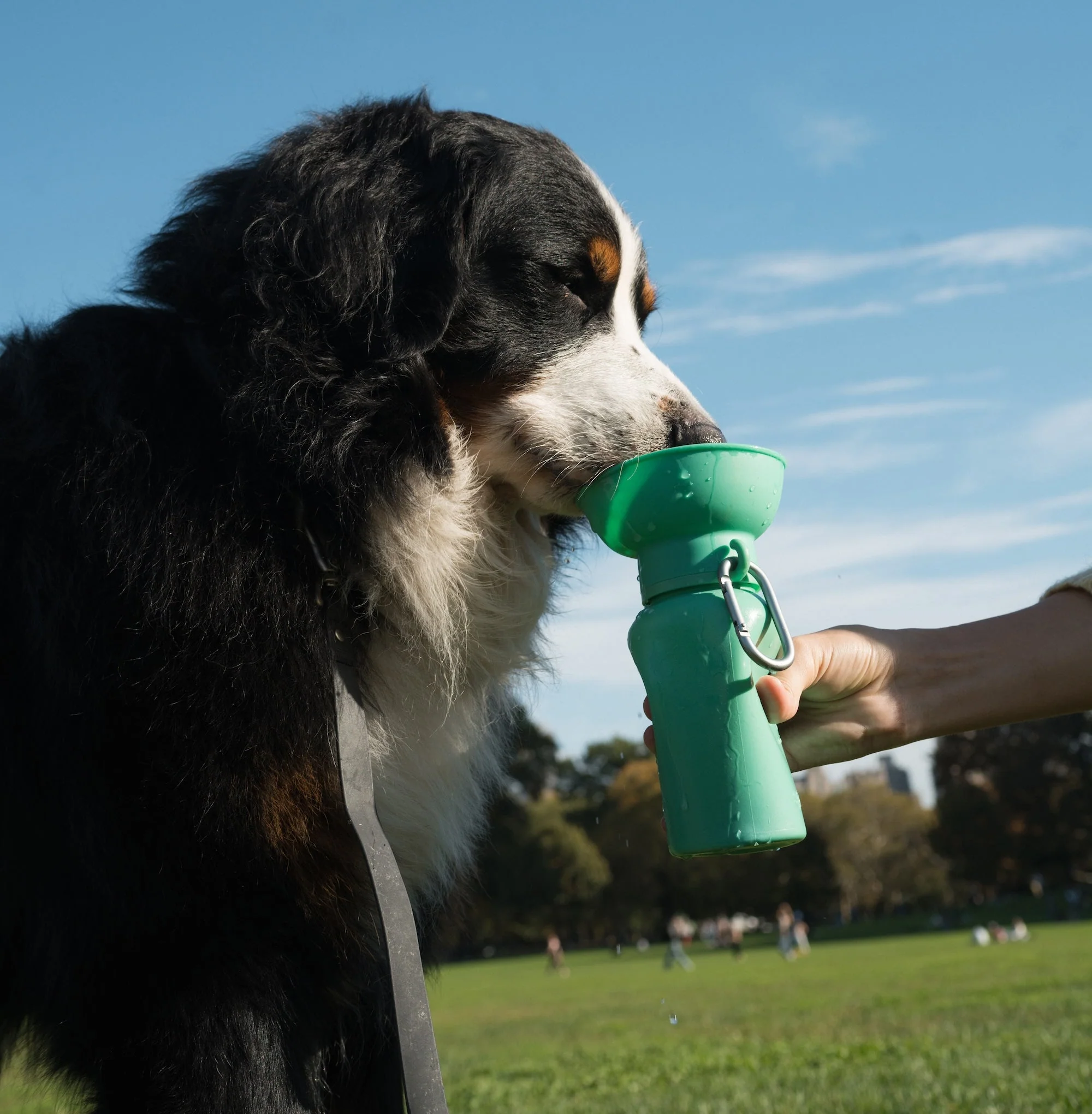 20oz Flip Dog Travel Water Bottle - Image 27